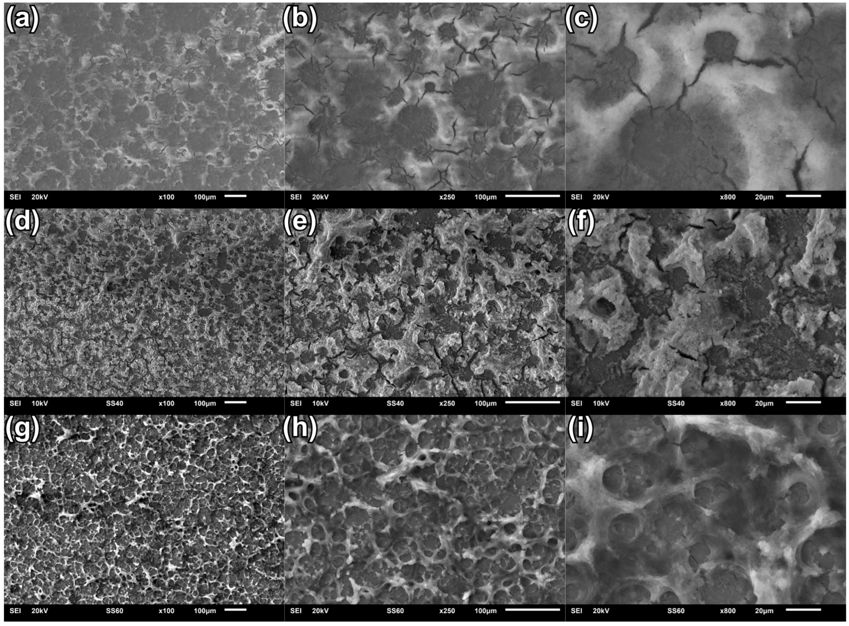 Materials 18 00539 g003