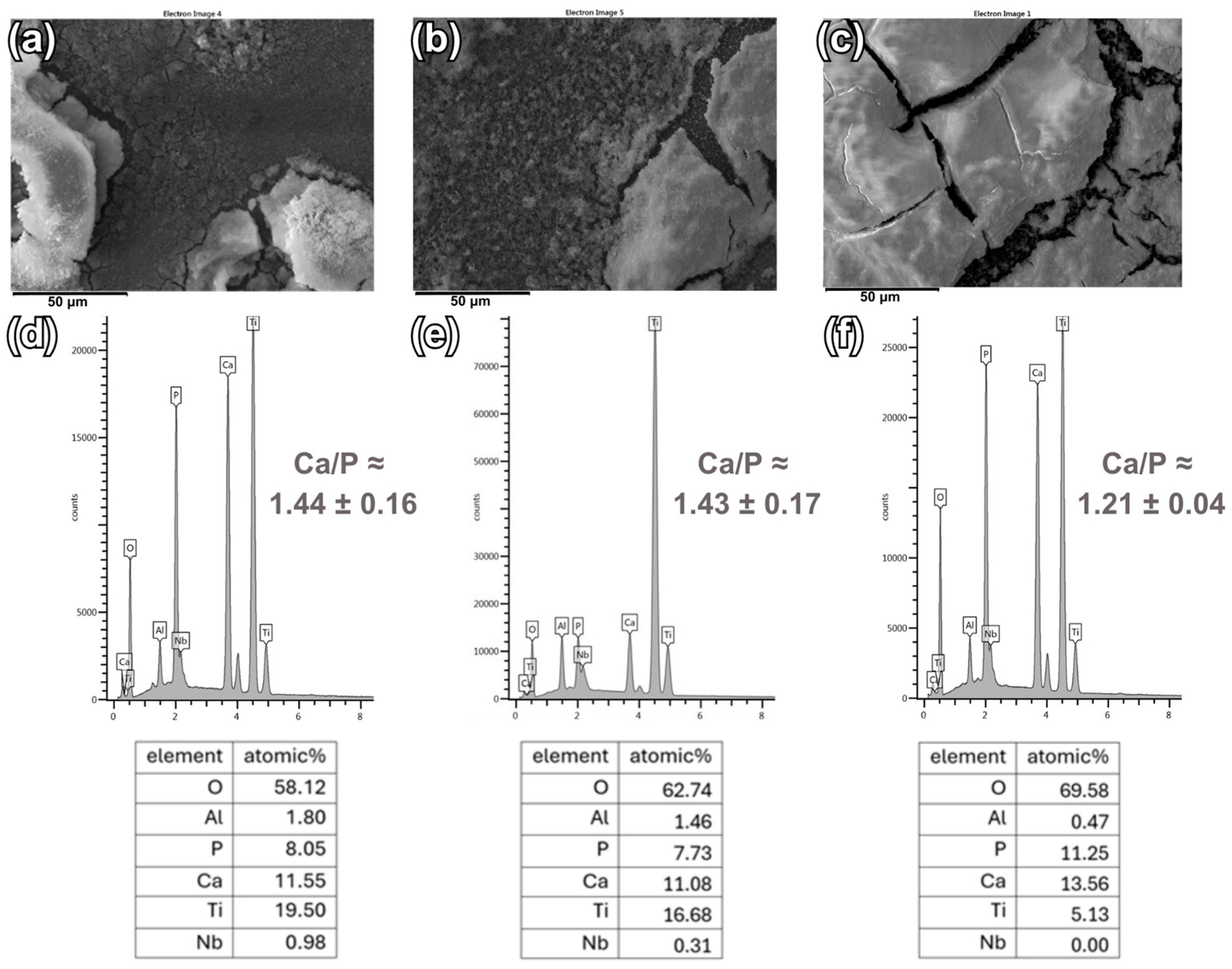 Materials 18 00539 g004