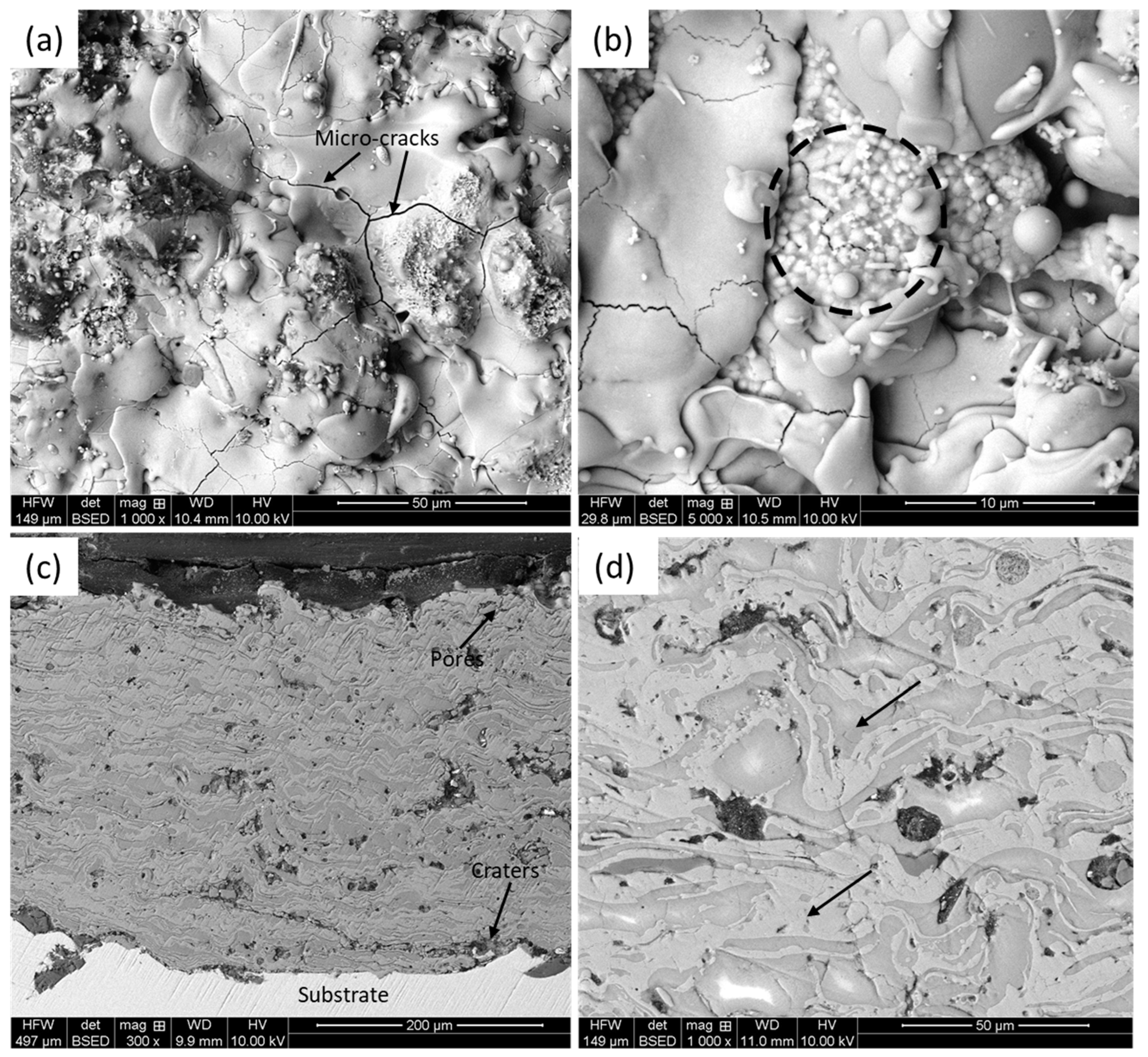 Materials 18 00540 g001