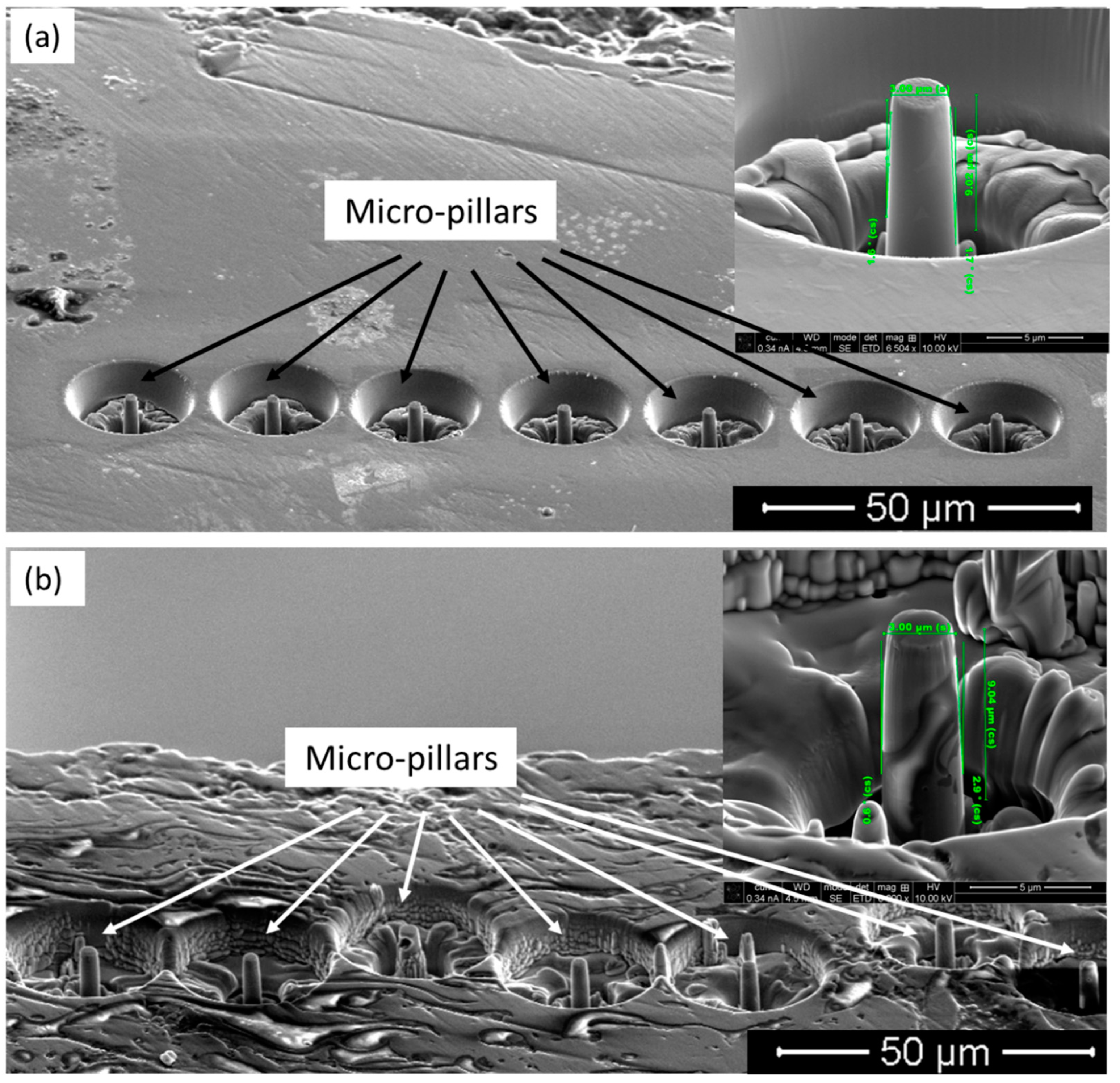 Materials 18 00540 g004