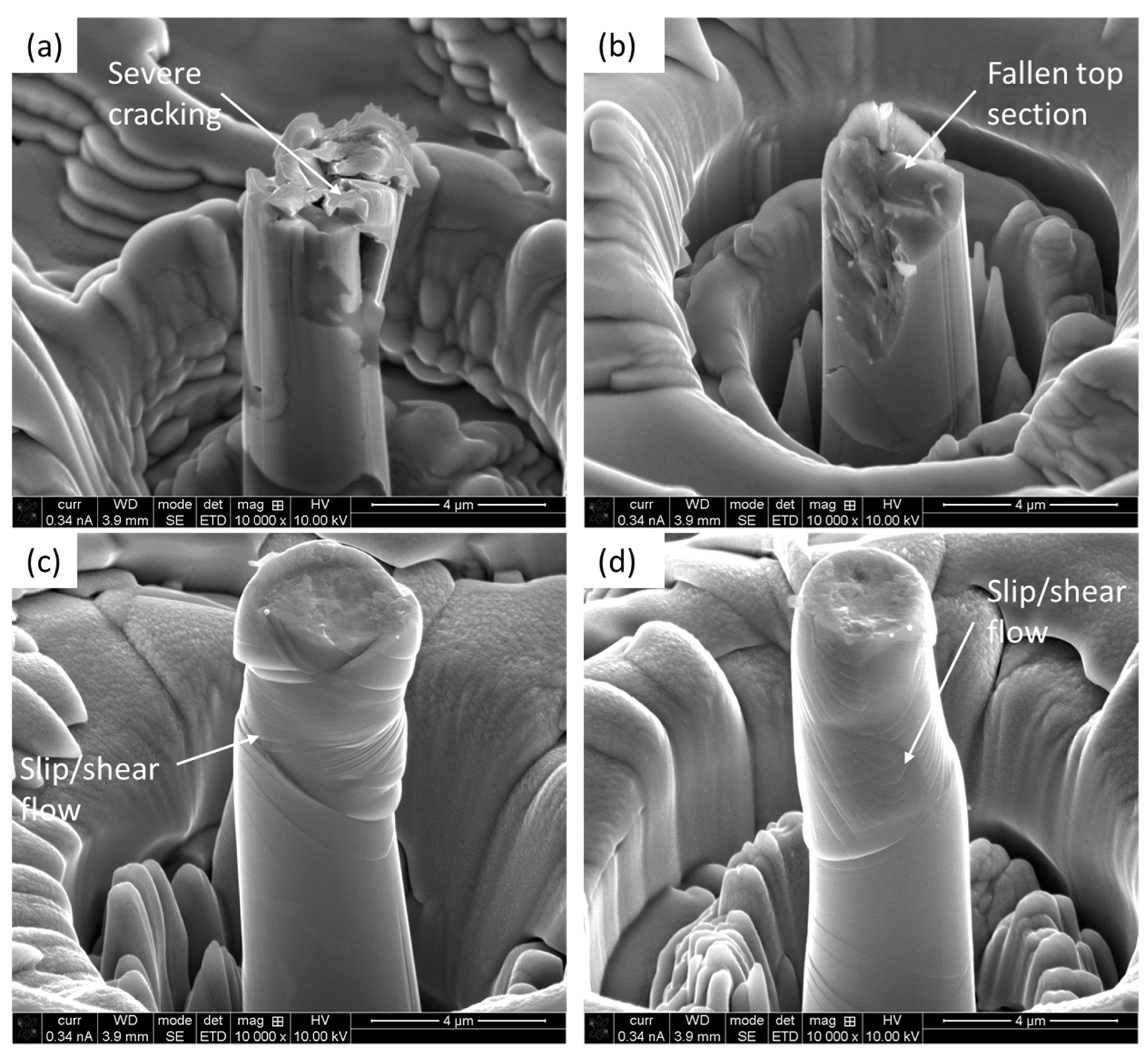 Materials 18 00540 g008