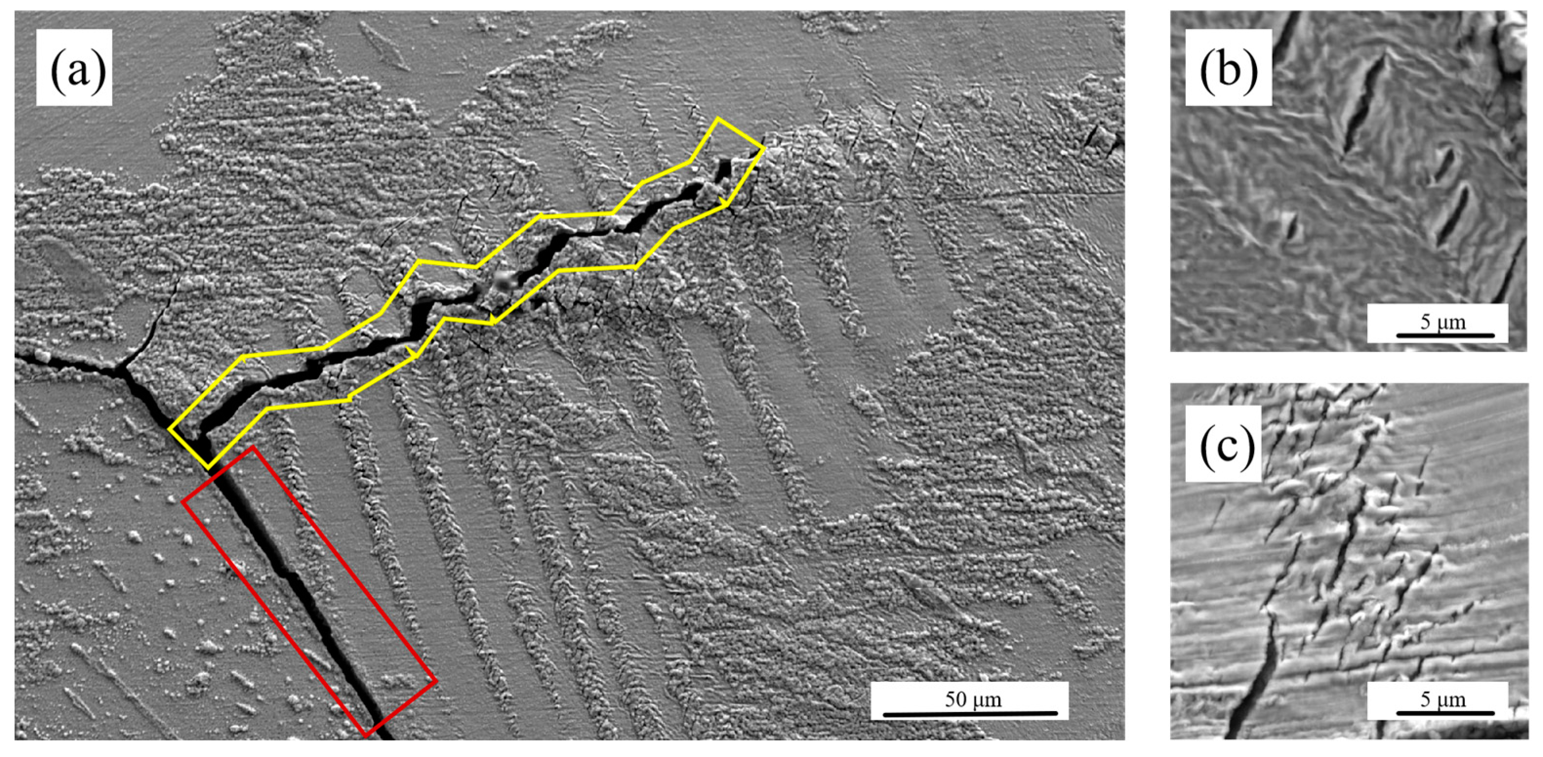 Materials 18 00541 g010