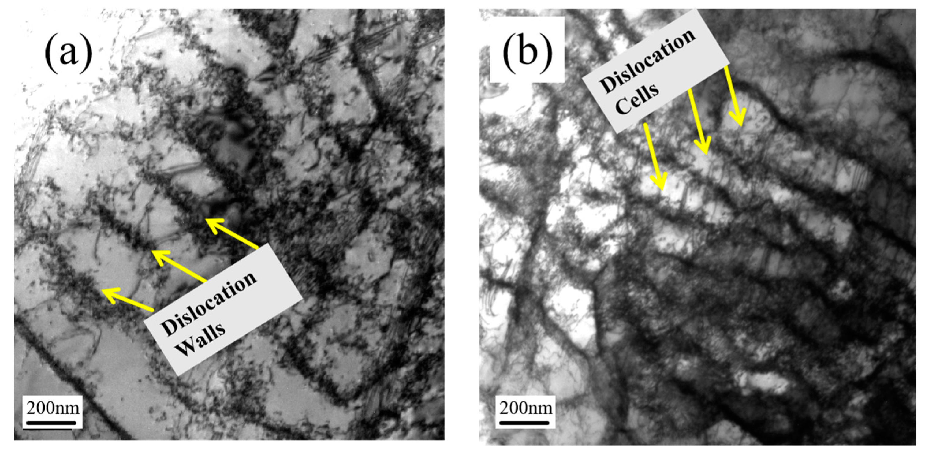 Materials 18 00541 g012