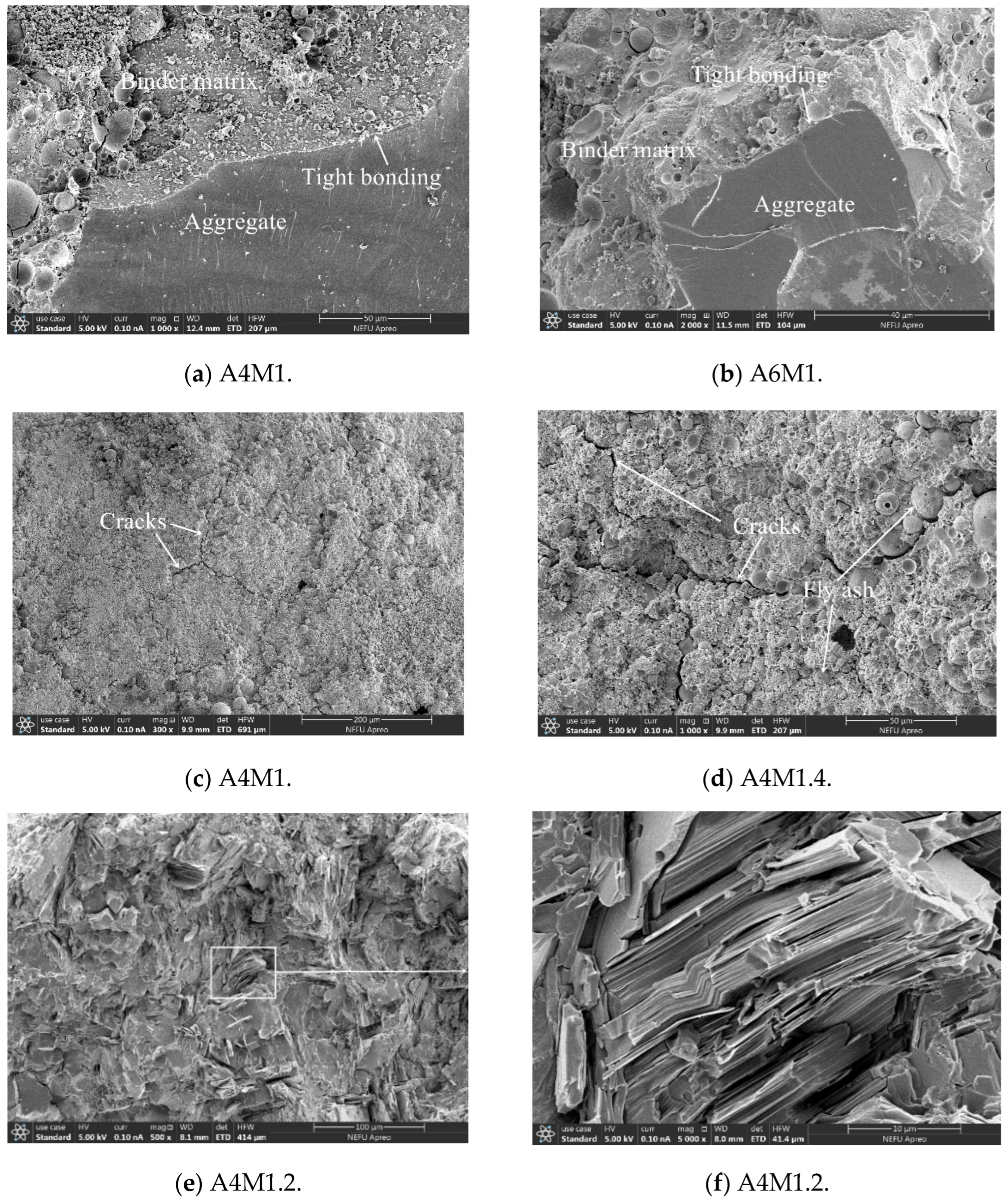 Materials 18 00547 g010