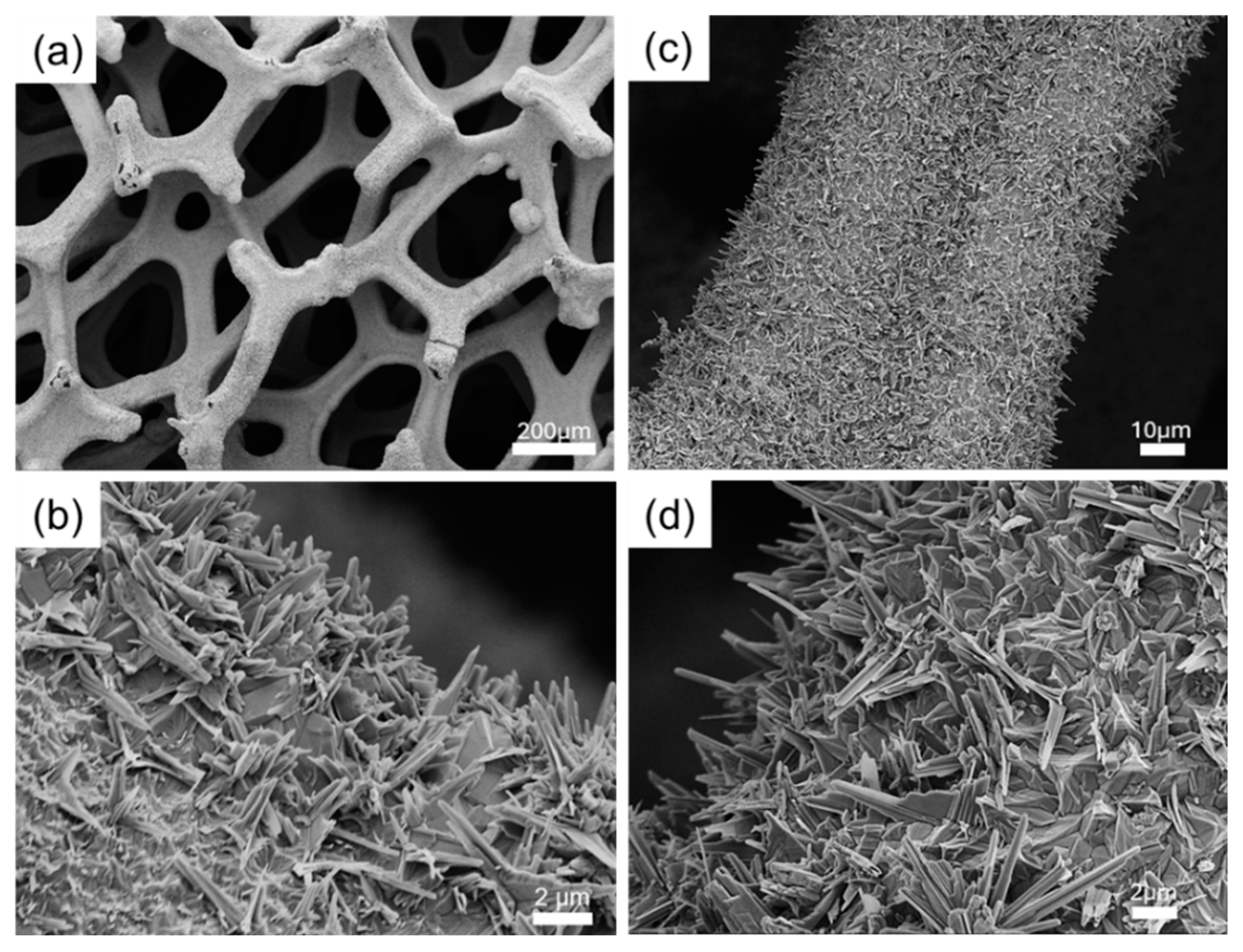 Materials 18 00549 g002