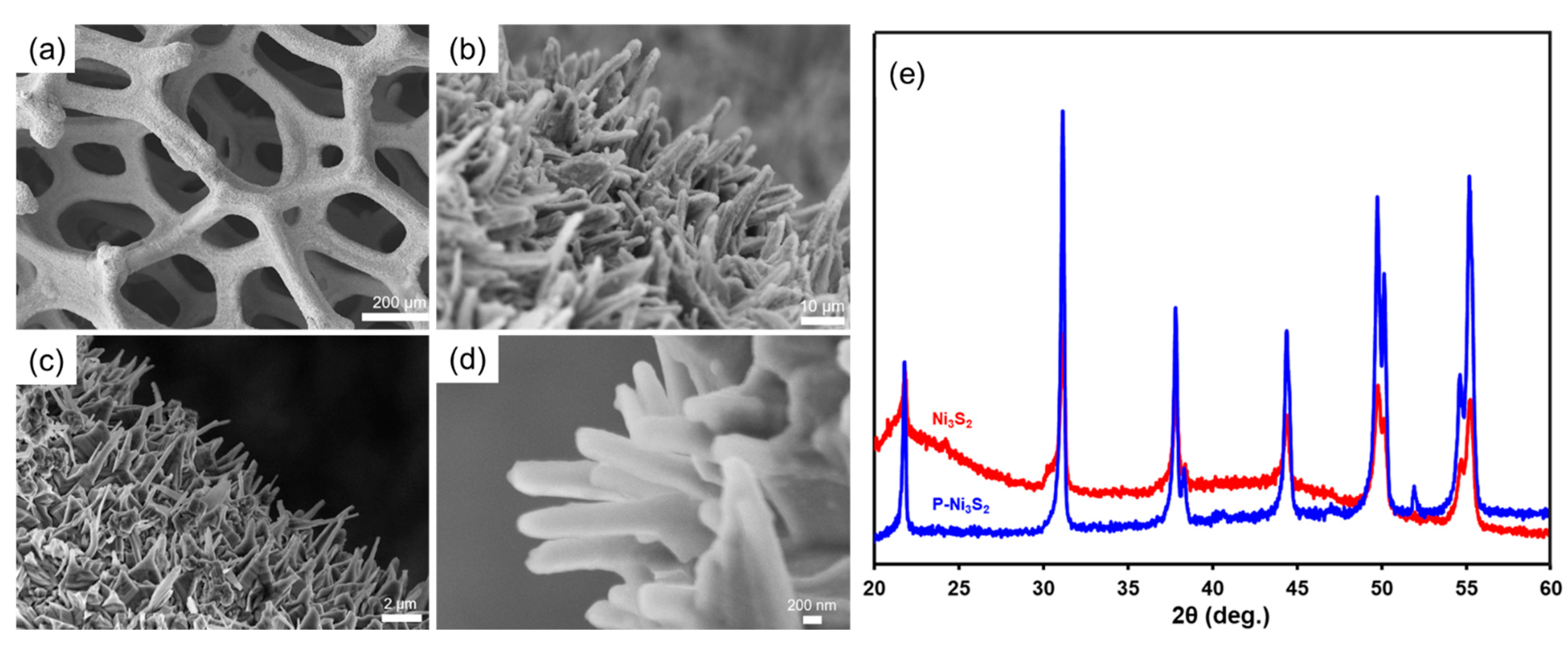 Materials 18 00549 g006