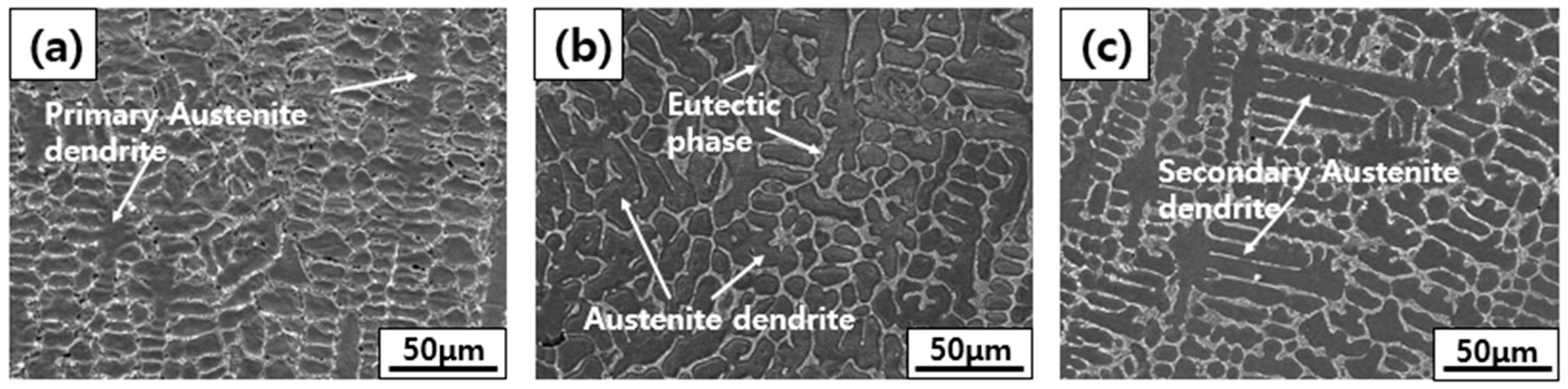 Materials 18 00550 g002
