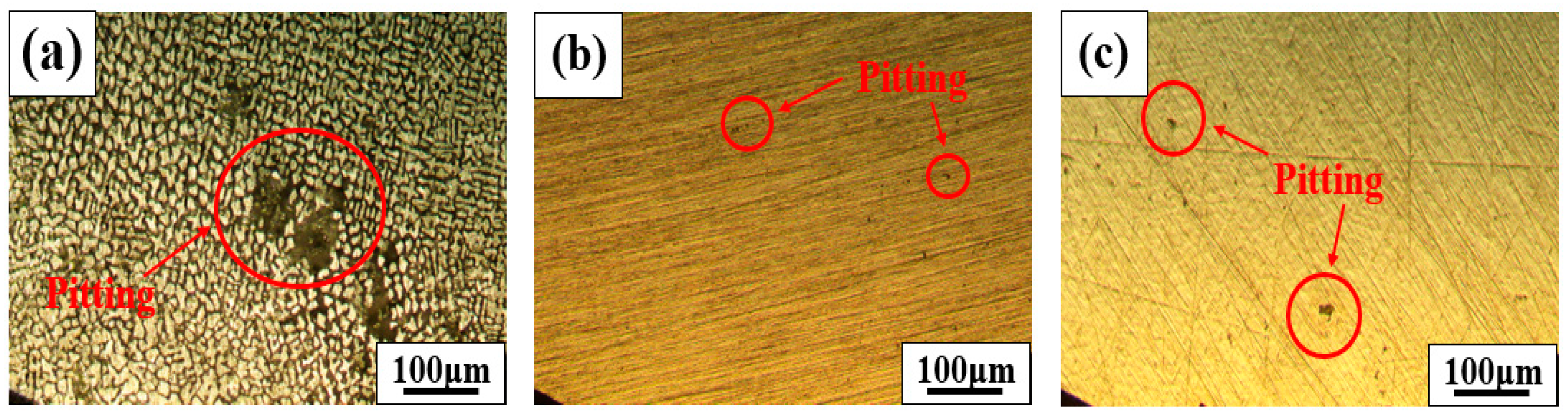 Materials 18 00550 g006