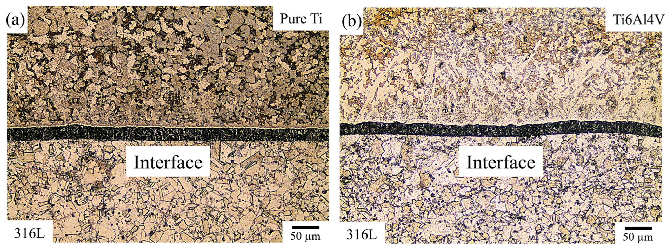 Materials 18 00553 g003