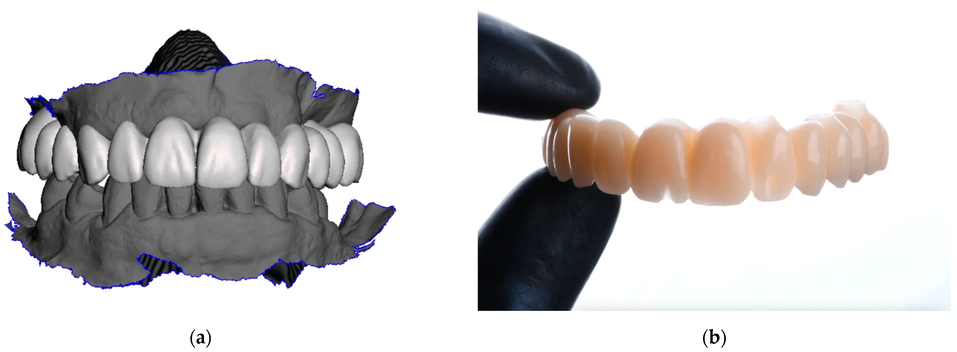 Materials 18 00562 g002