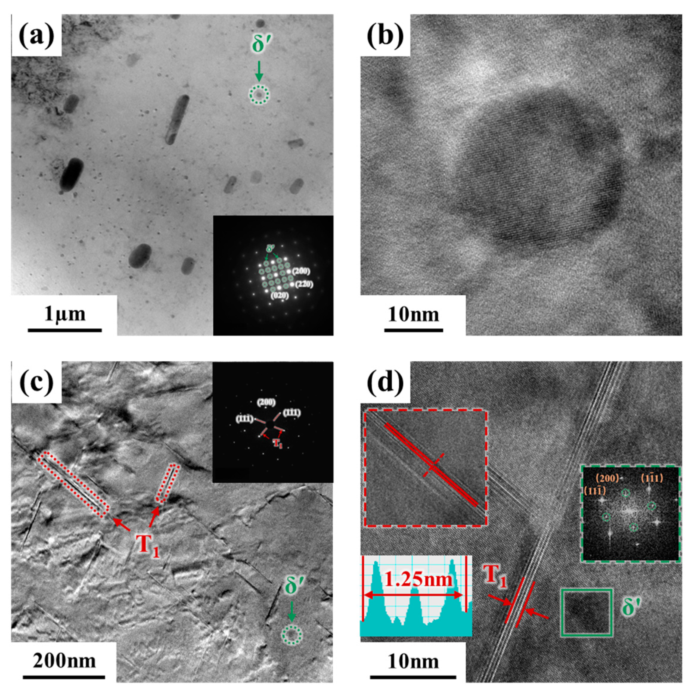 Materials 18 00566 g008 Materials 18 00566 g008