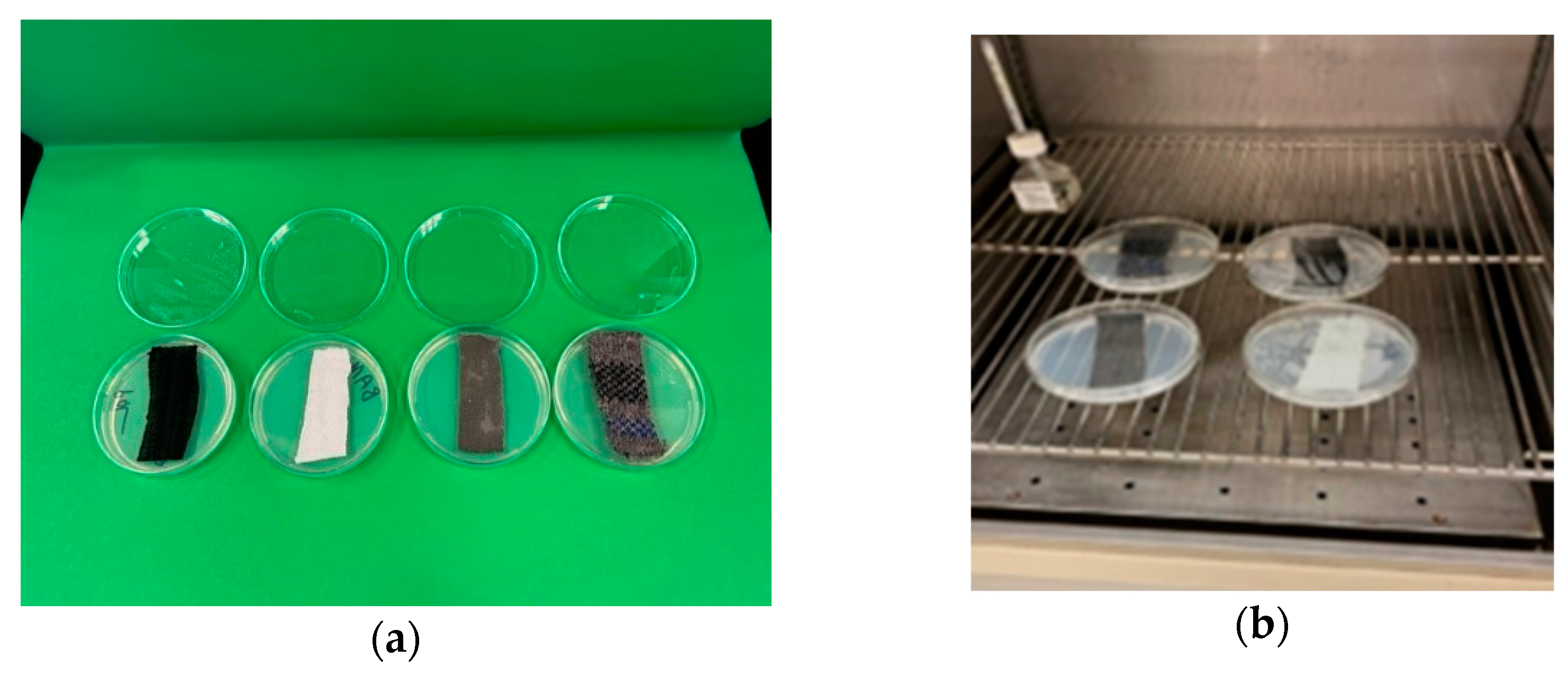 Materials 18 00572 g004