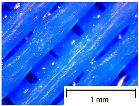 Materials 18 00573 i008