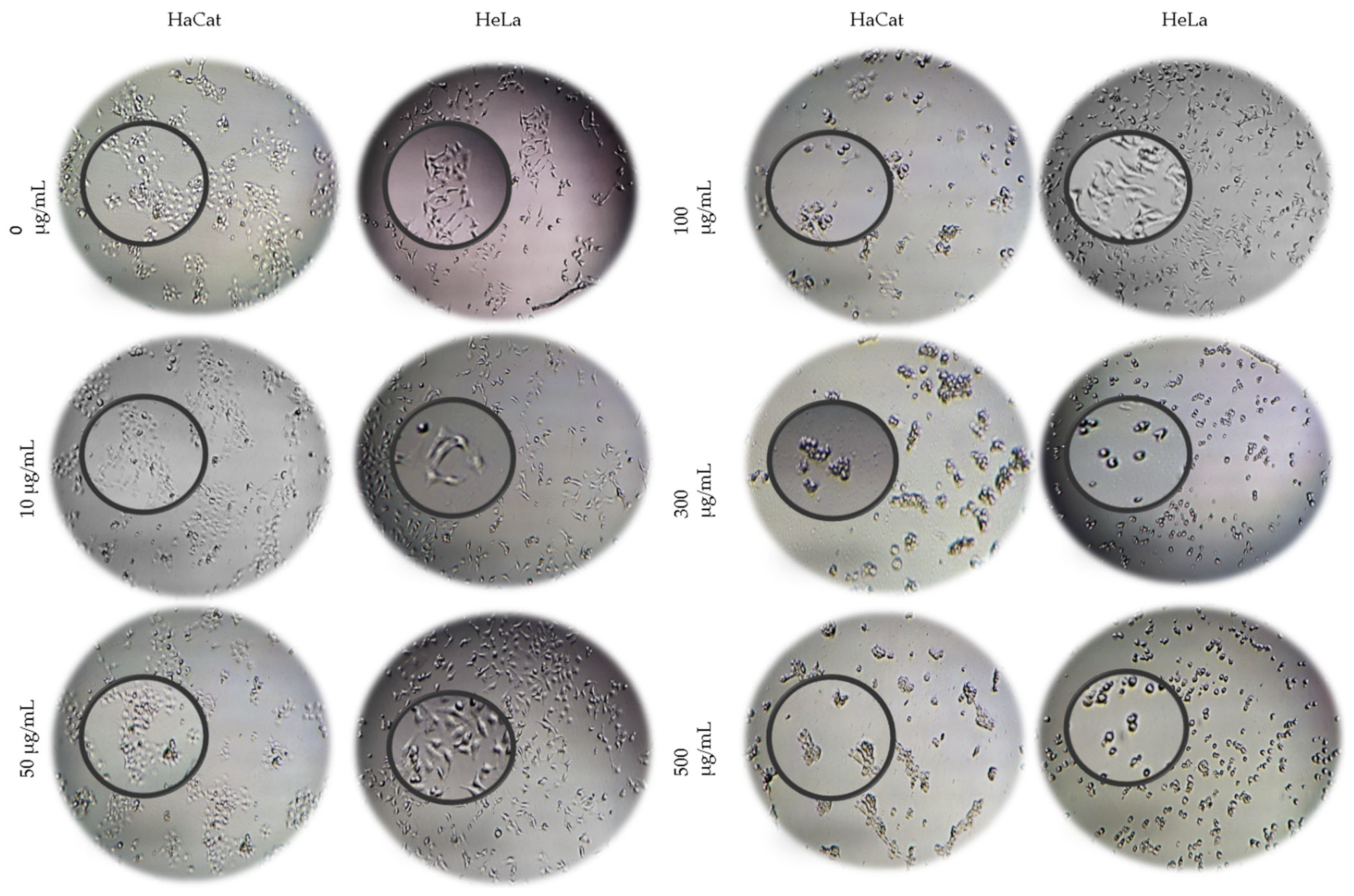 Materials 18 00580 g005