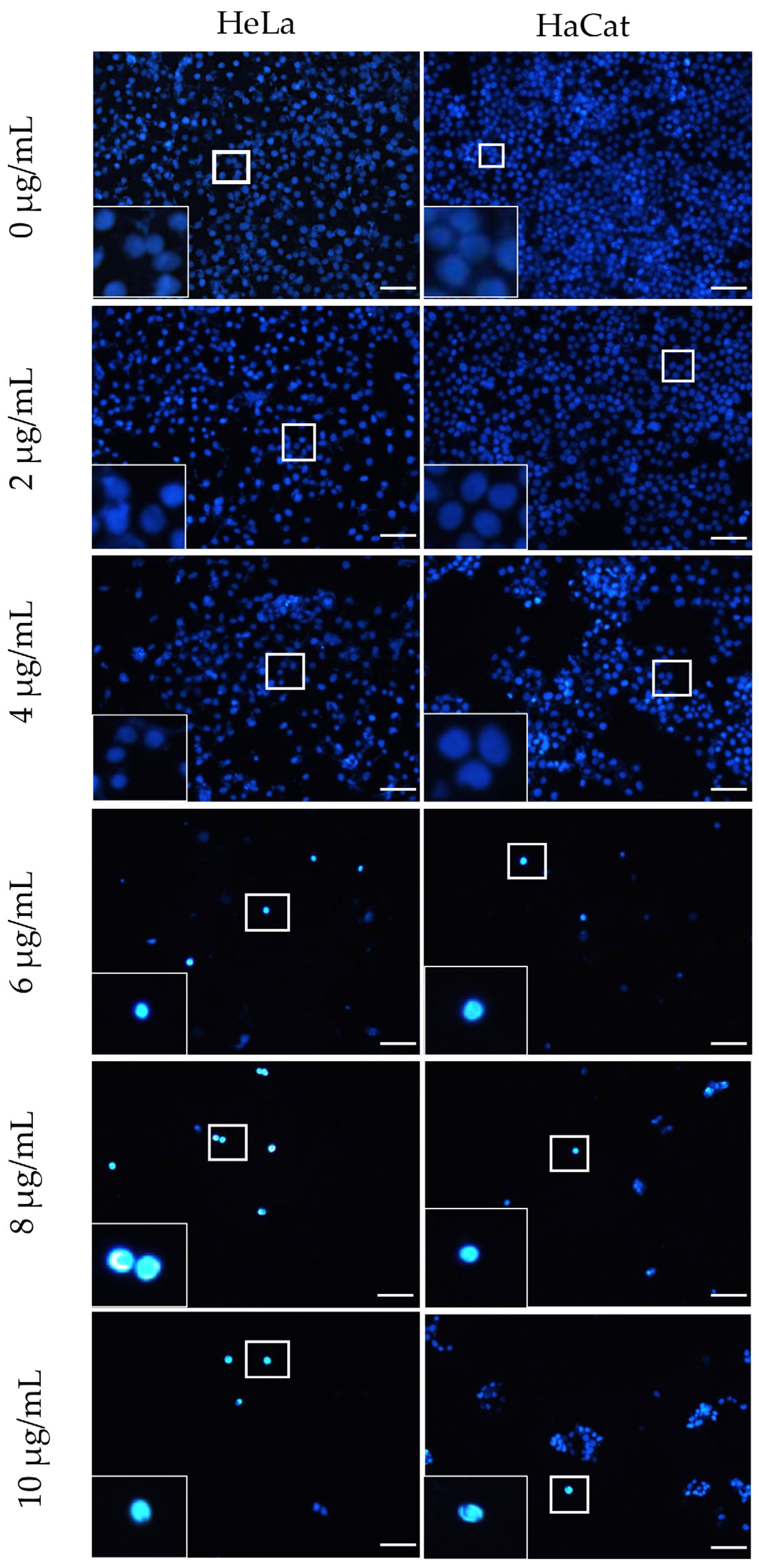 Materials 18 00580 g007