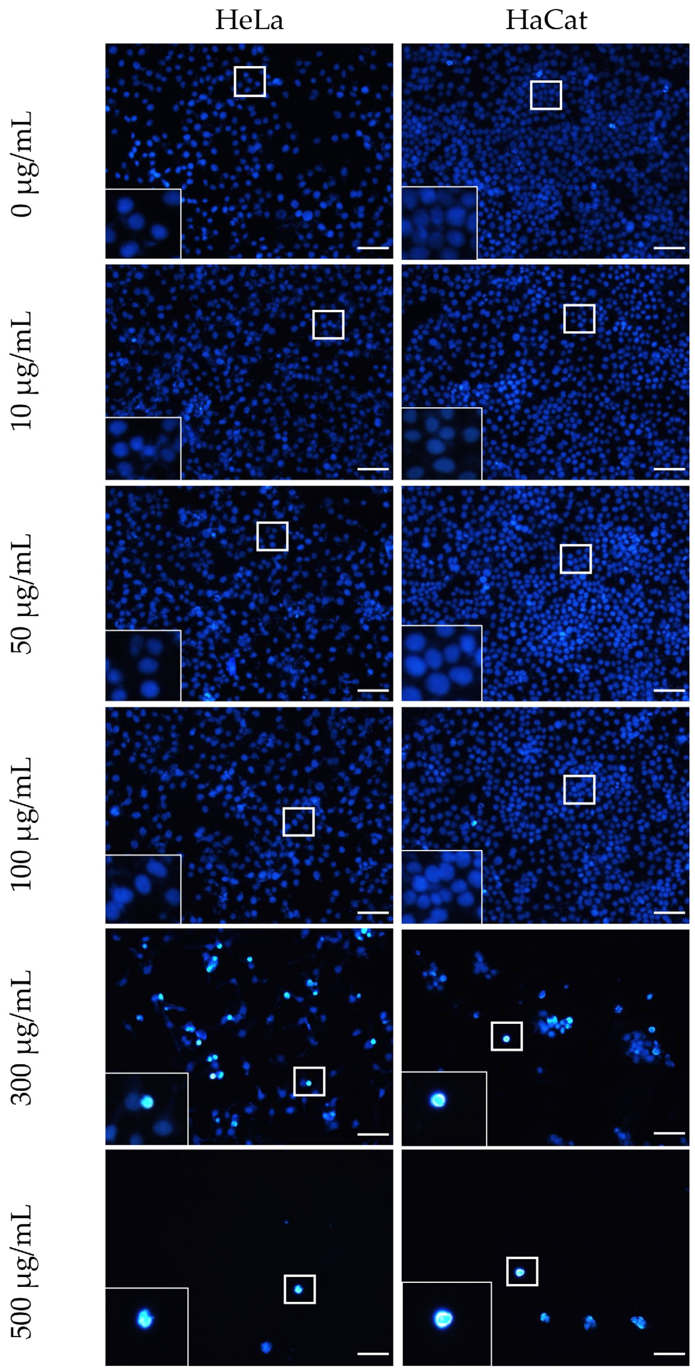 Materials 18 00580 g008