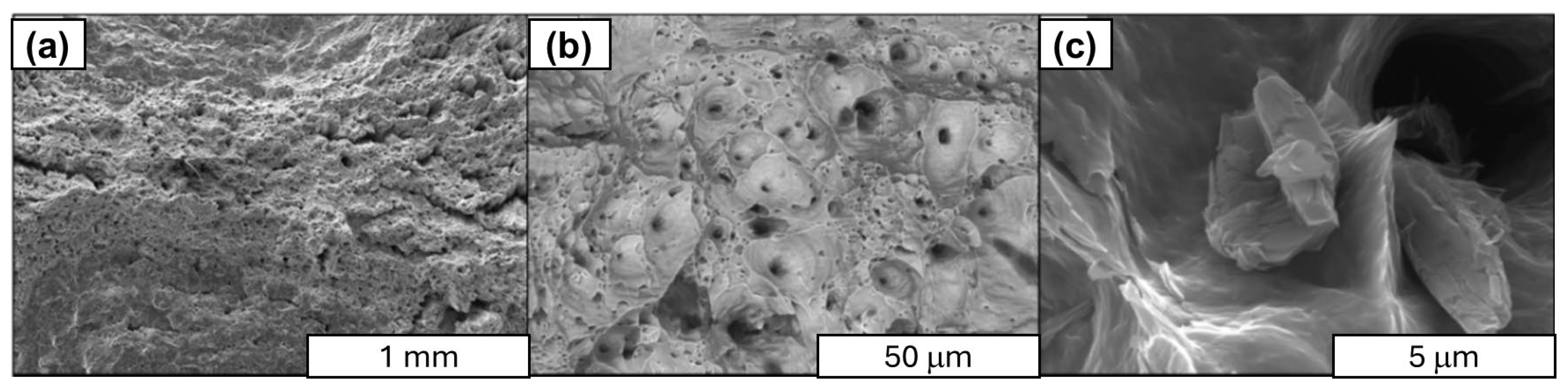 Materials 18 00590 g023