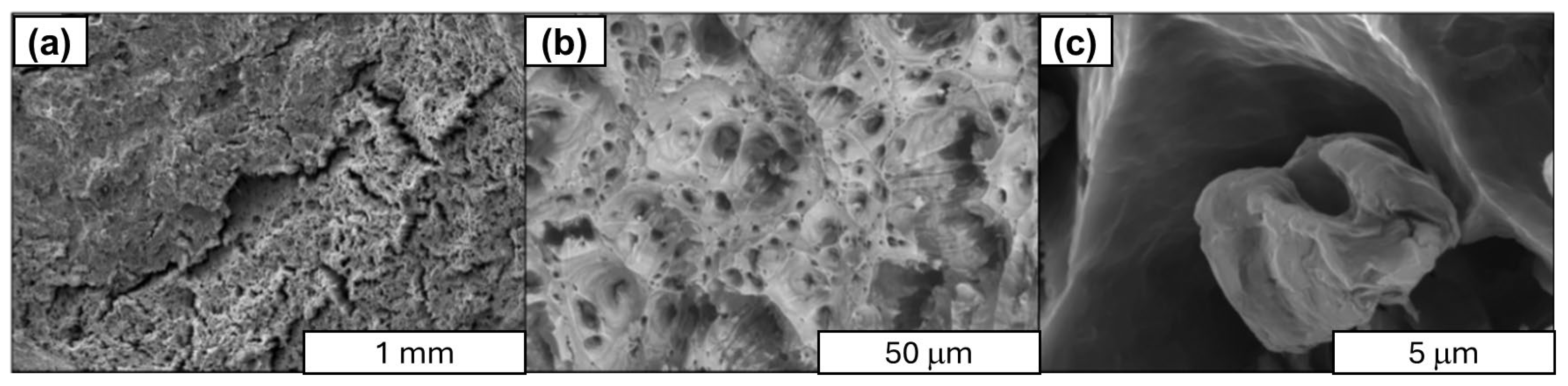 Materials 18 00590 g025