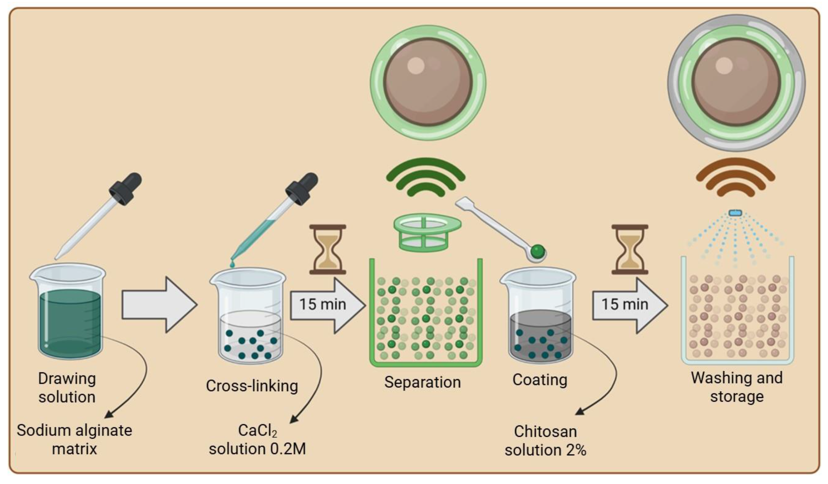 Materials 18 00591 g001