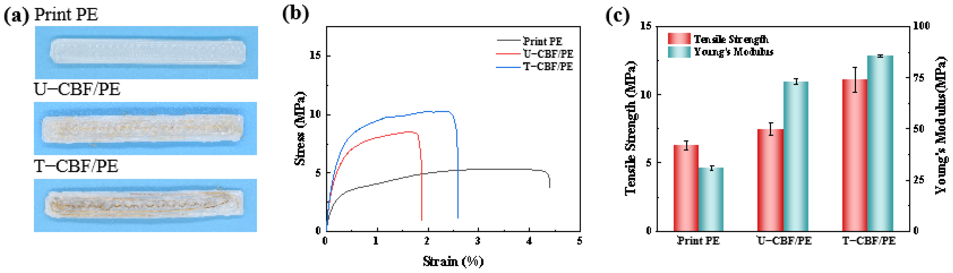 Materials 18 00593 g007