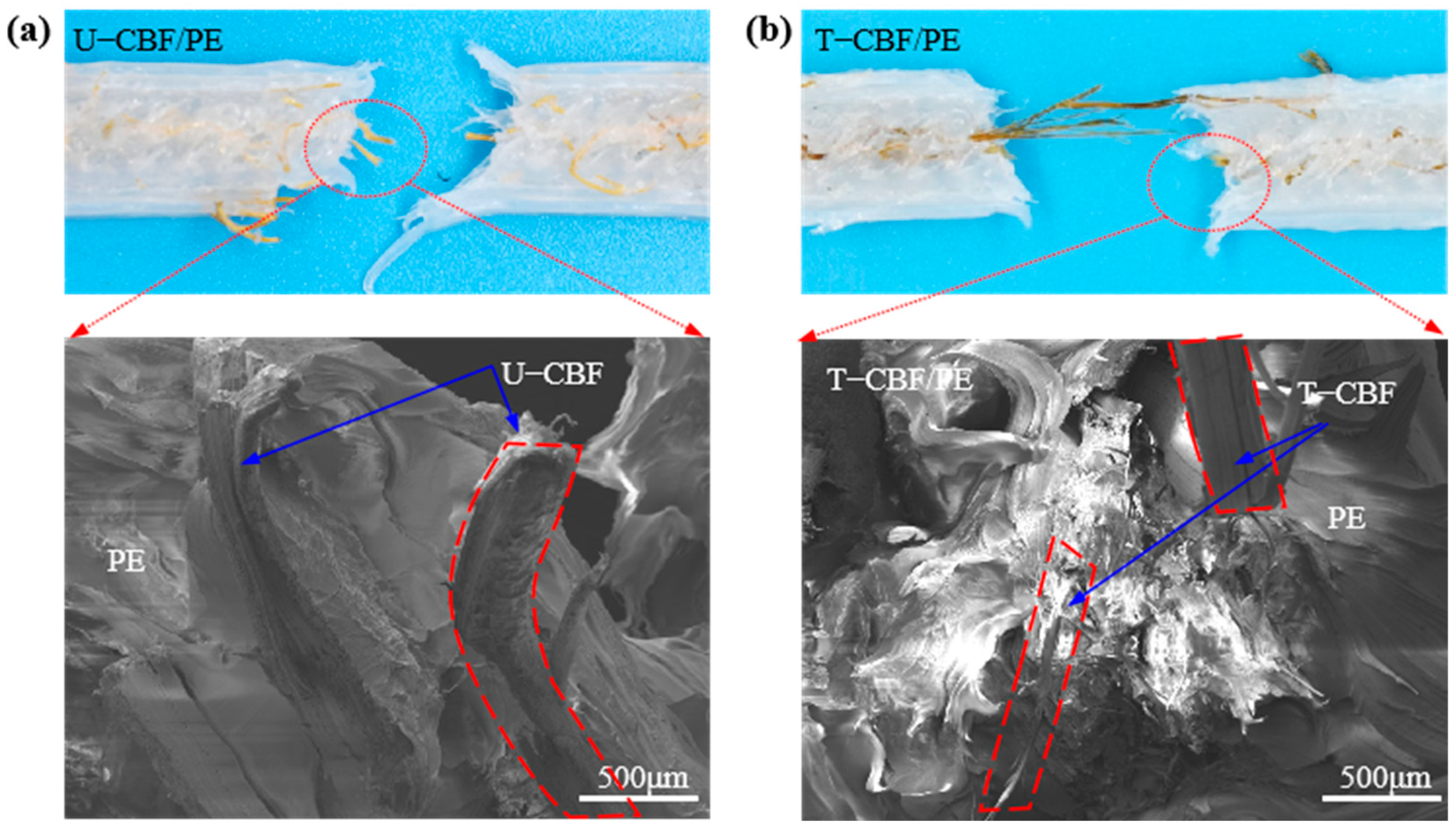 Materials 18 00593 g008