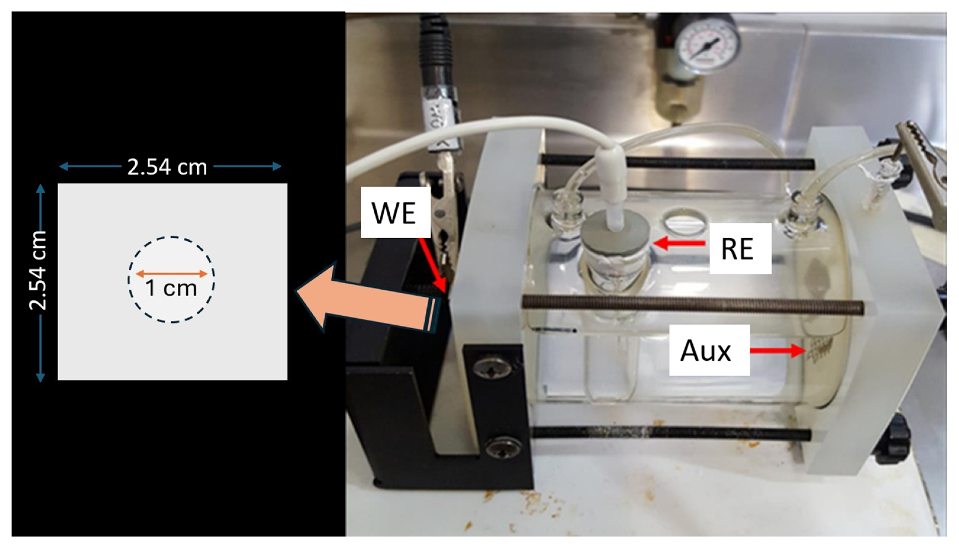 Materials 18 00595 g001