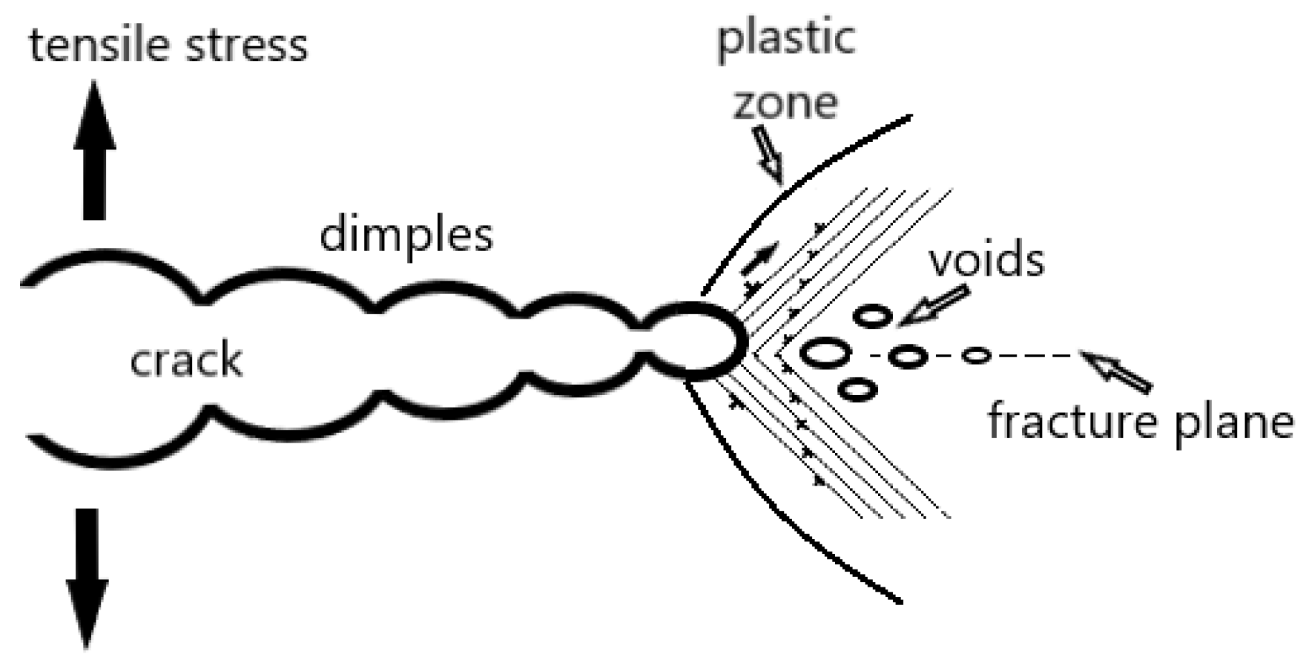 Materials 18 00597 g005