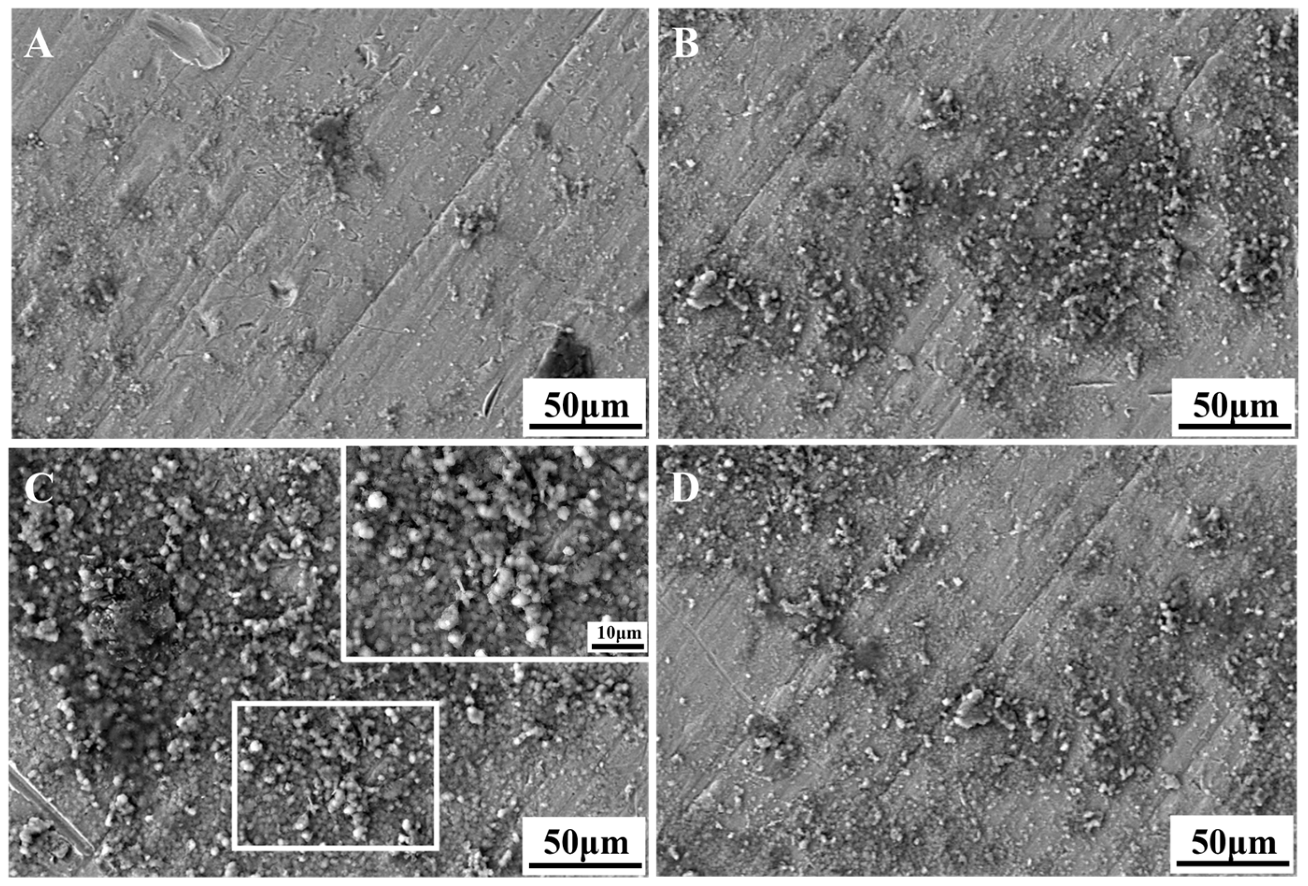 Materials 18 00602 g006