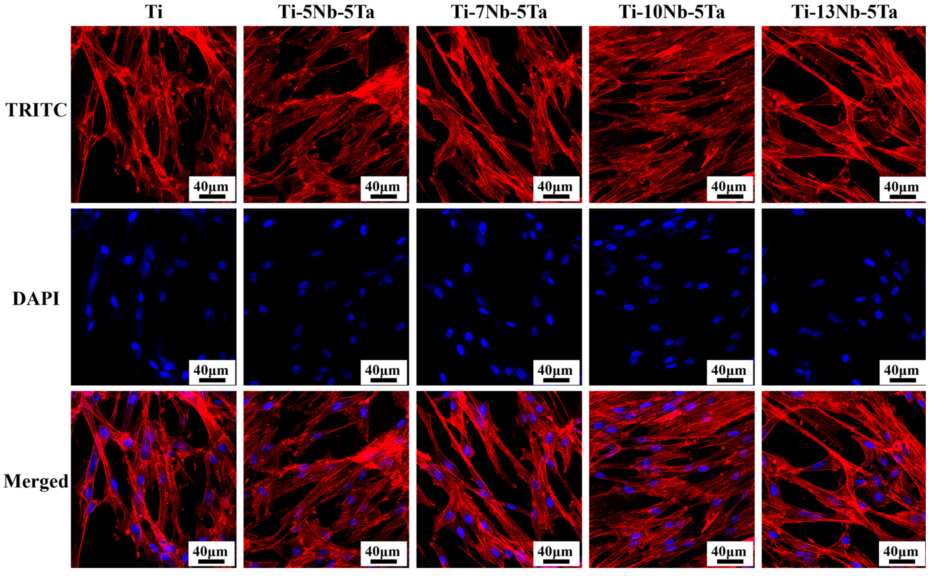 Materials 18 00602 g009