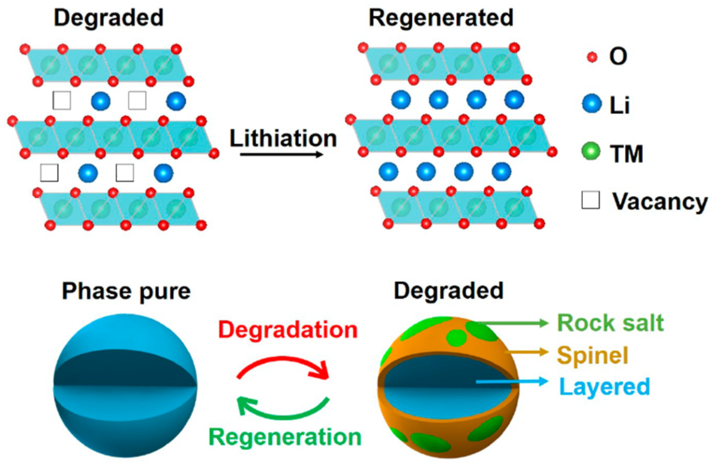 Materials 18 00613 g009