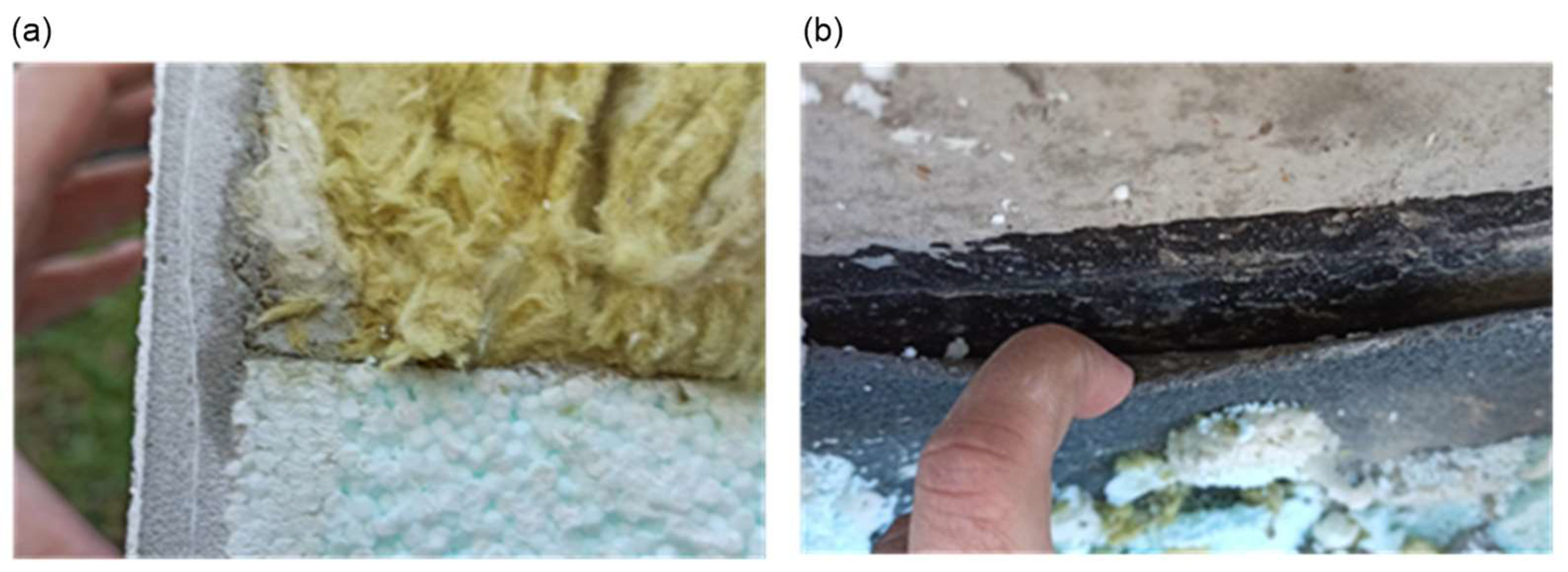 Materials 18 00614 g006