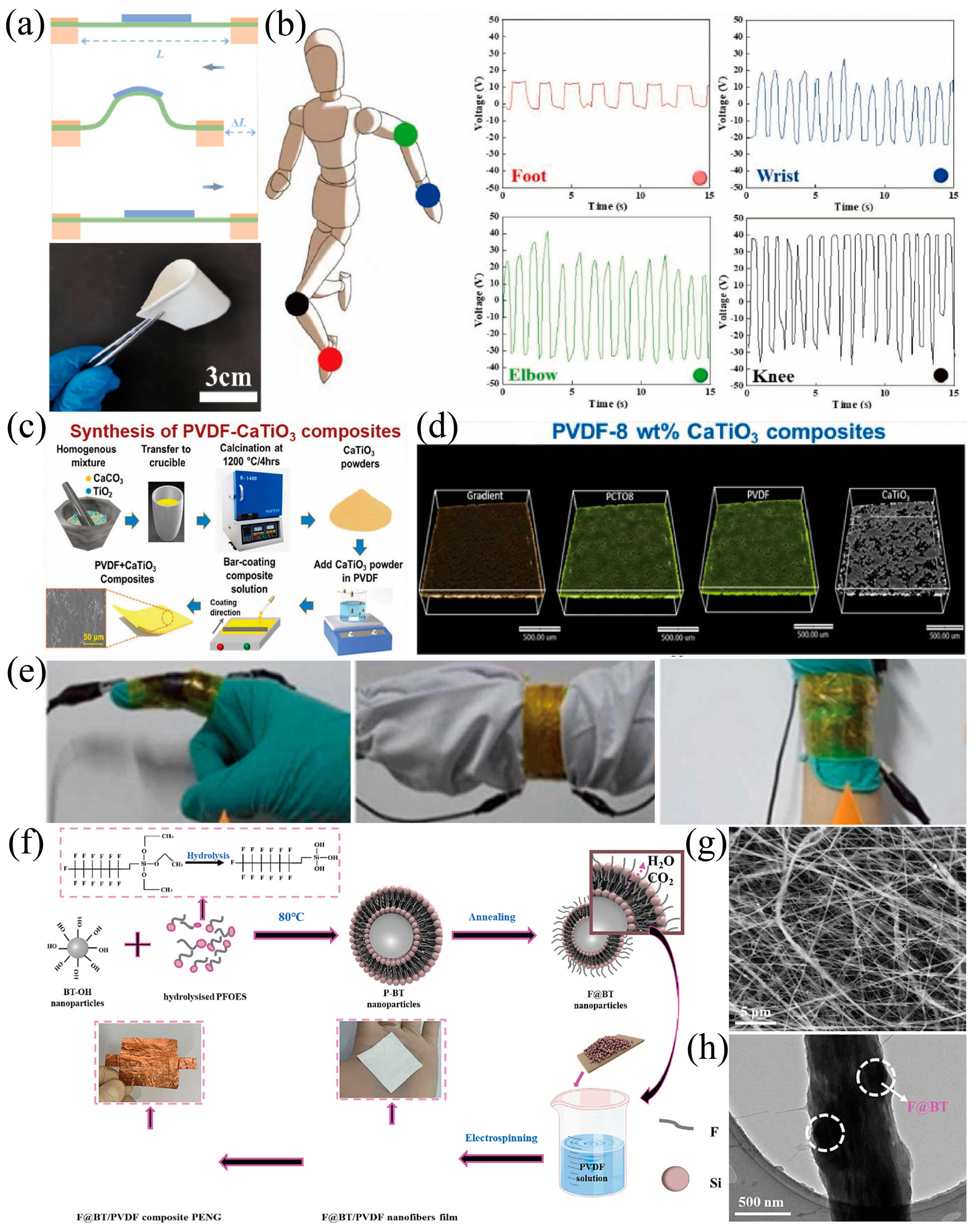 Materials 18 00615 g007