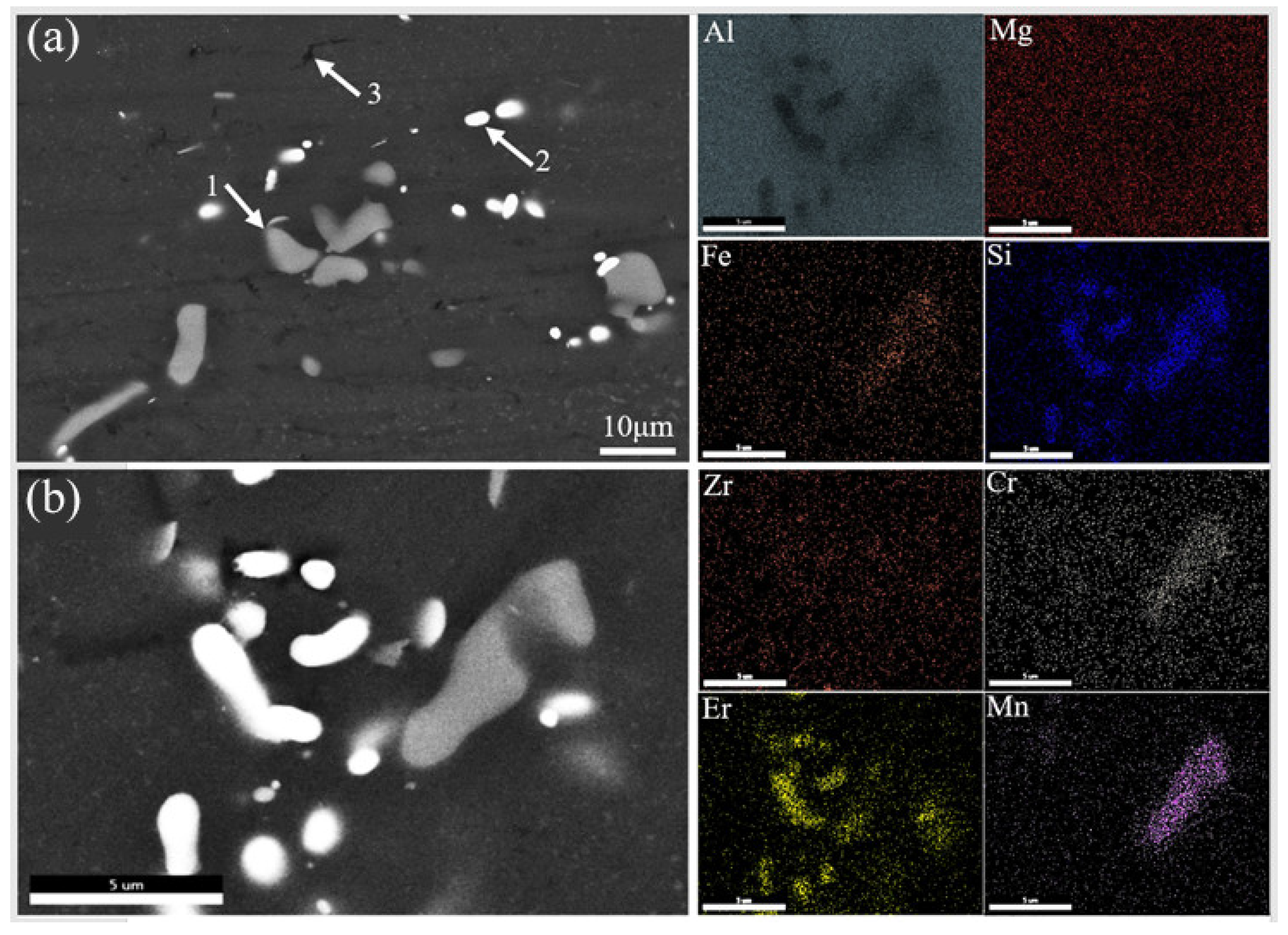 Materials 18 00616 g007