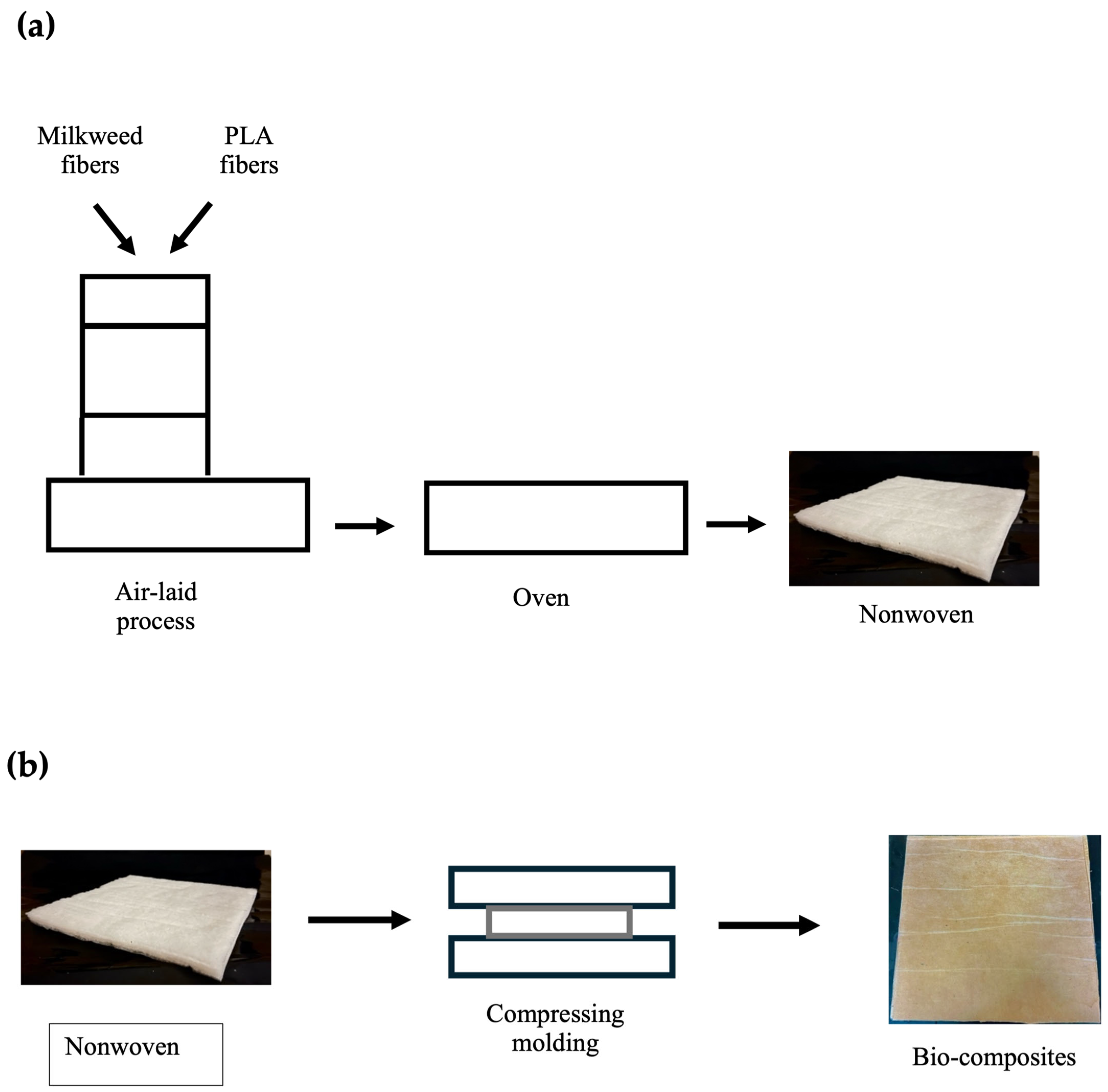 Materials 18 00618 g001