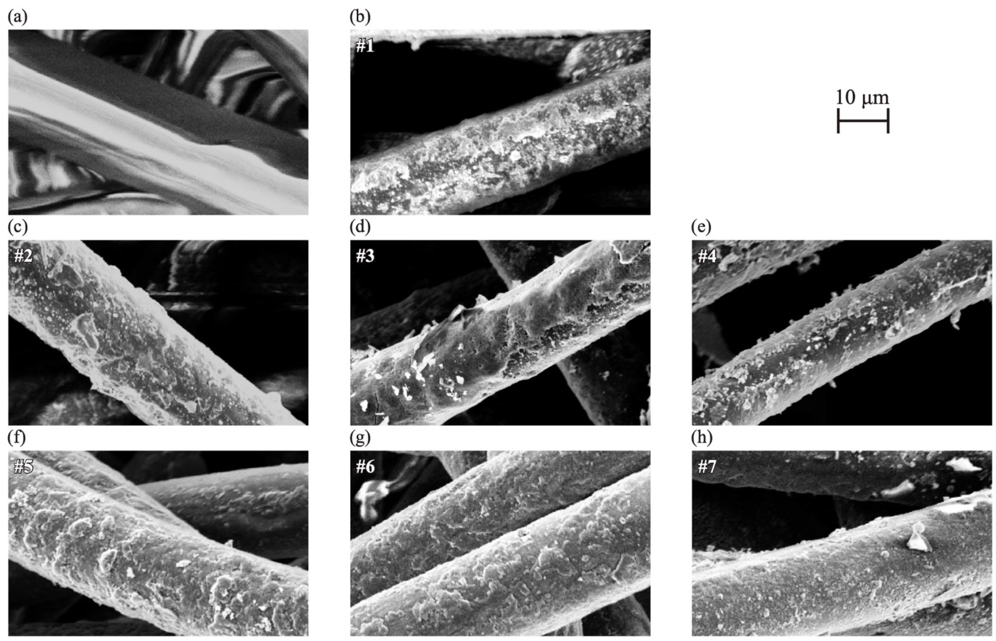 Materials 18 00619 g001