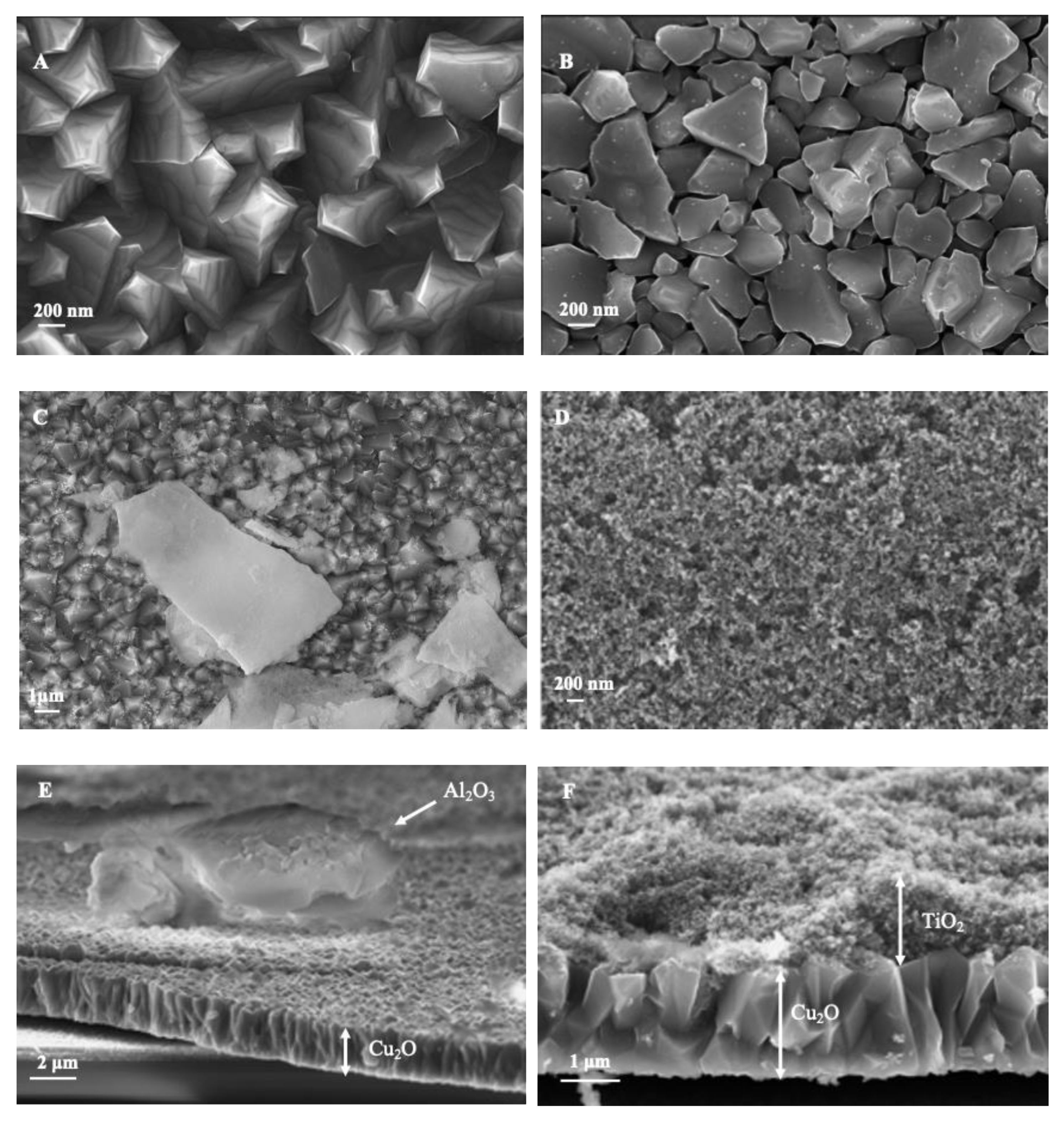 Materials 18 00620 g001