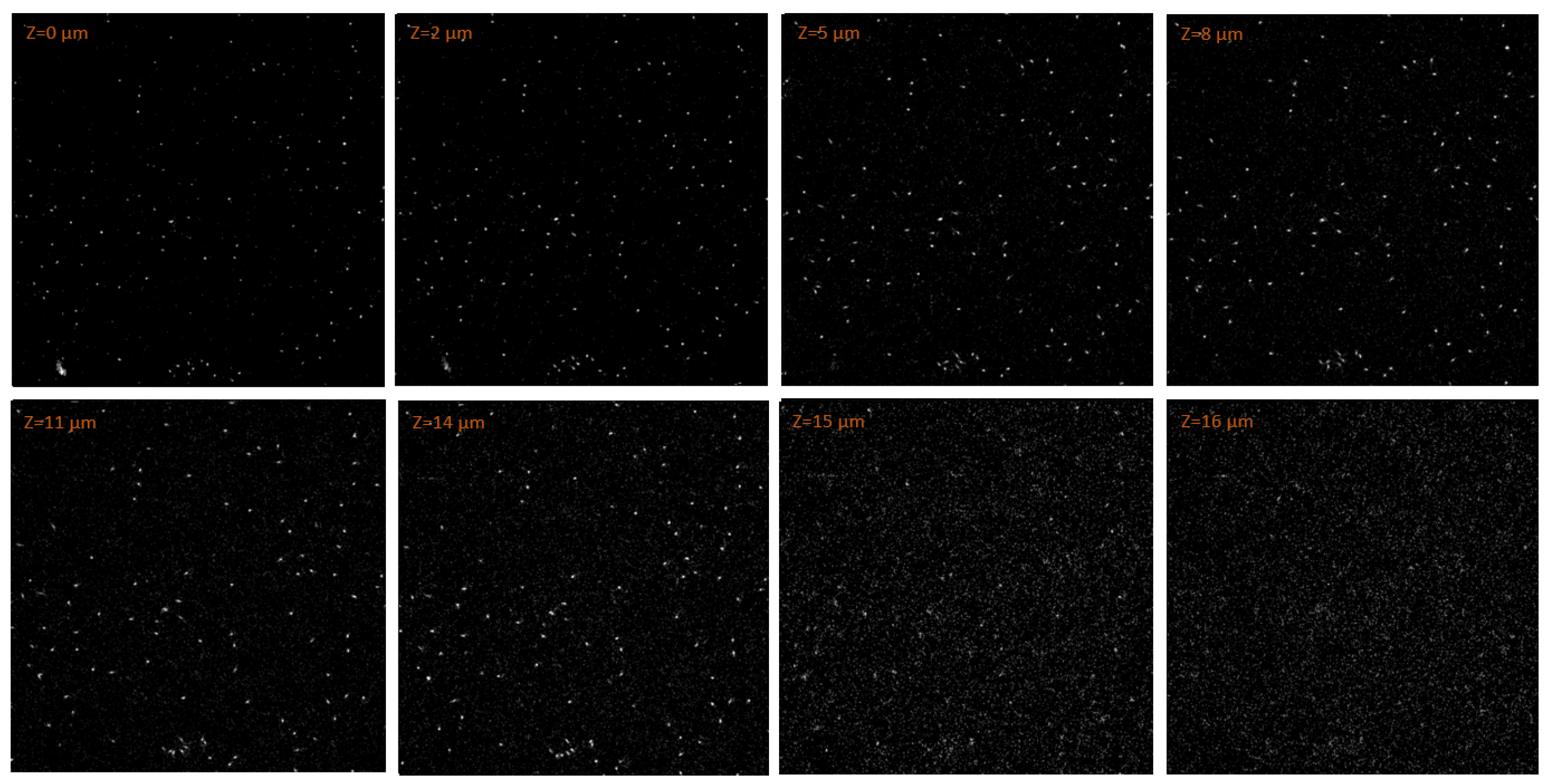 Materials 18 00621 g007