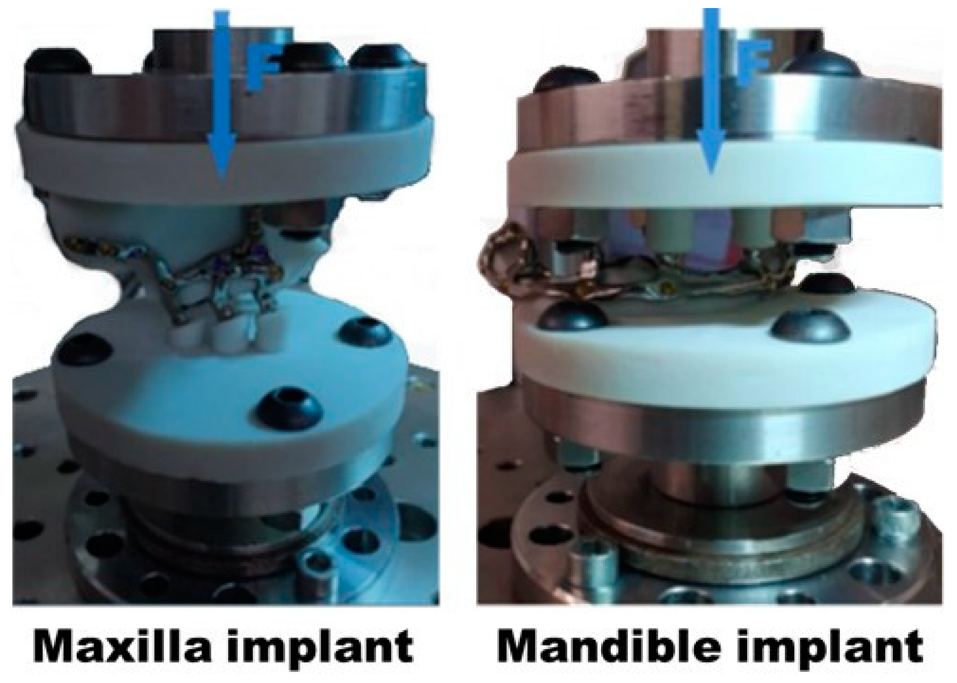 Materials 18 00622 g010