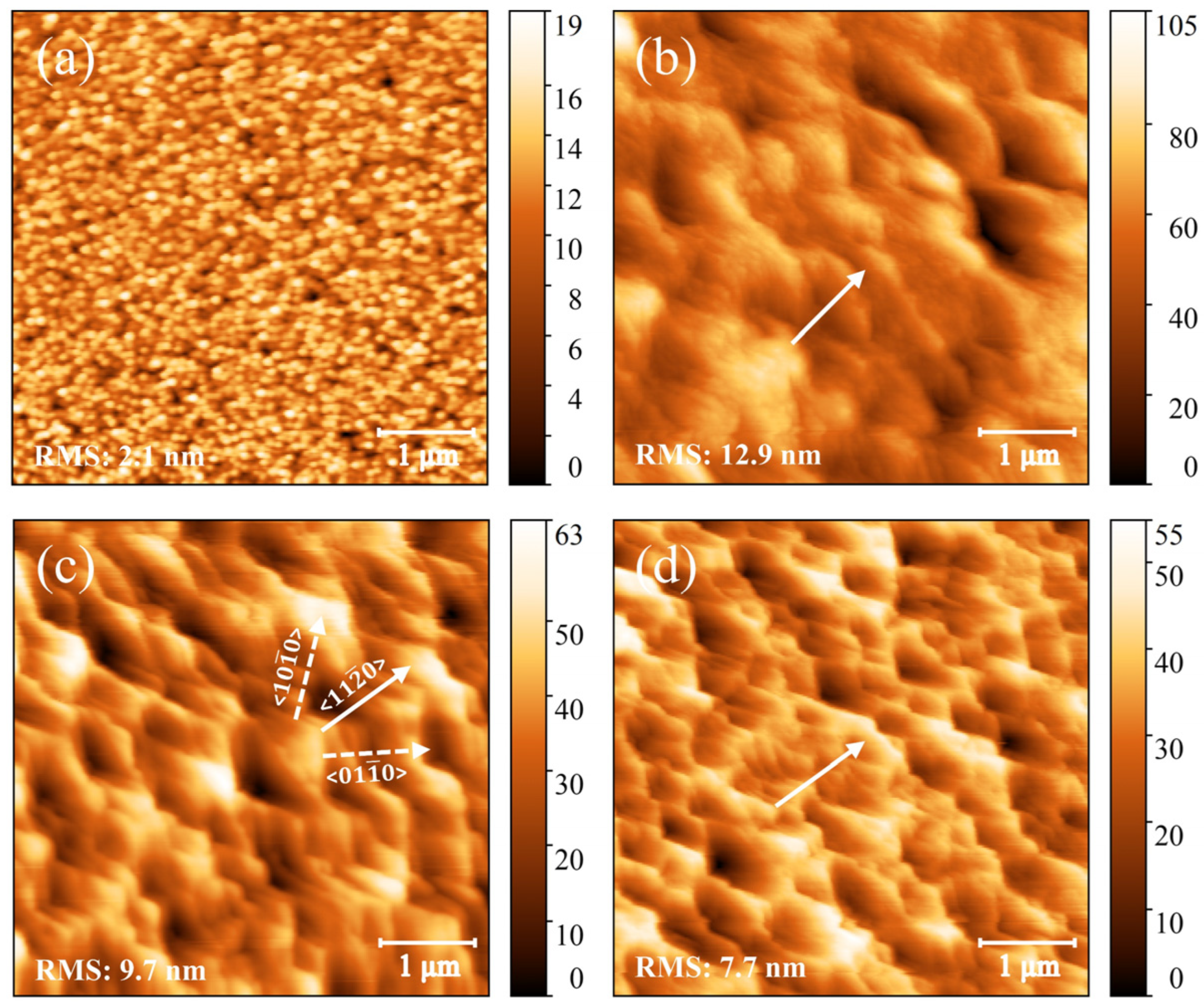 Materials 18 00638 g005