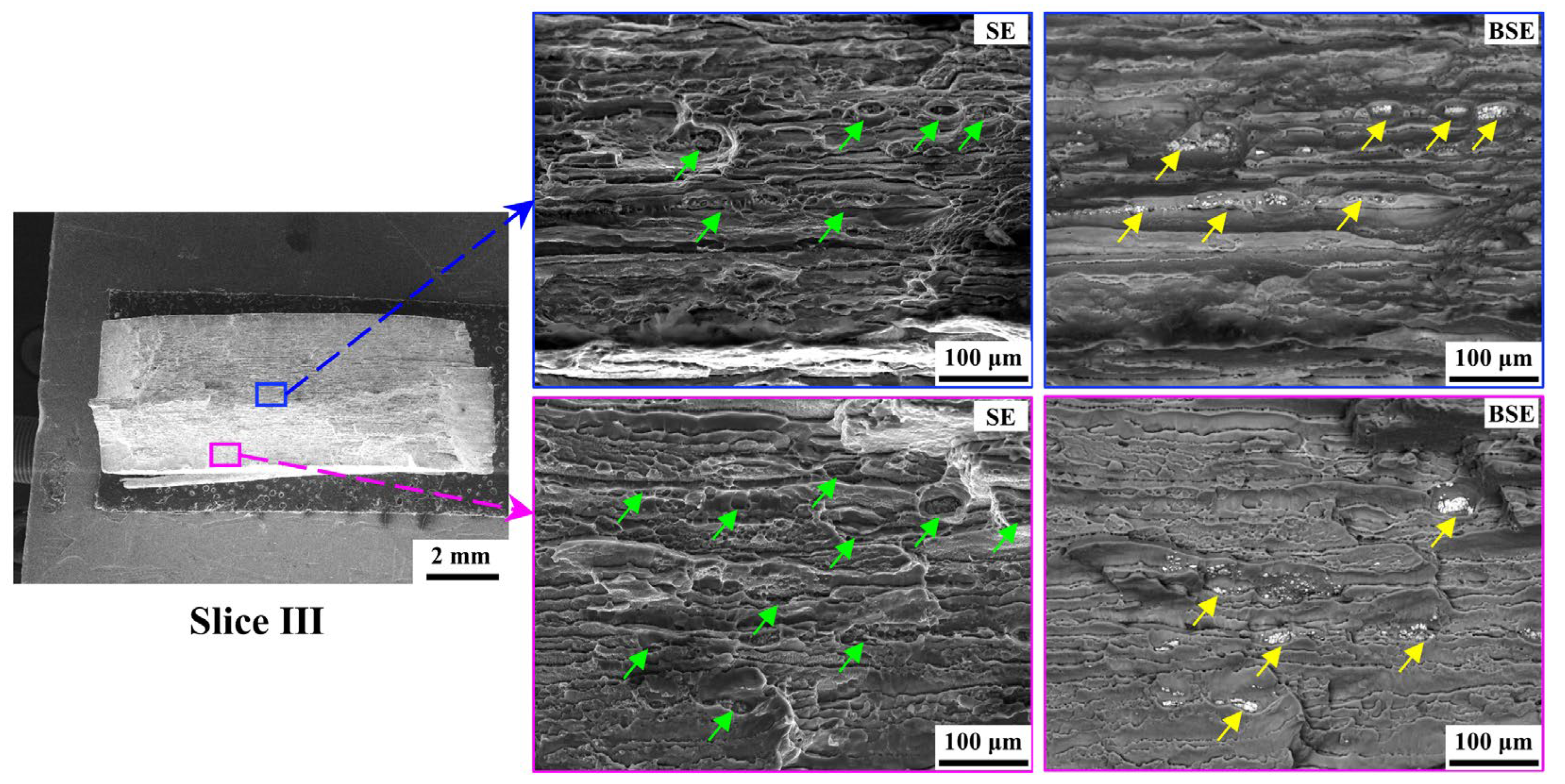 Materials 18 00645 g014