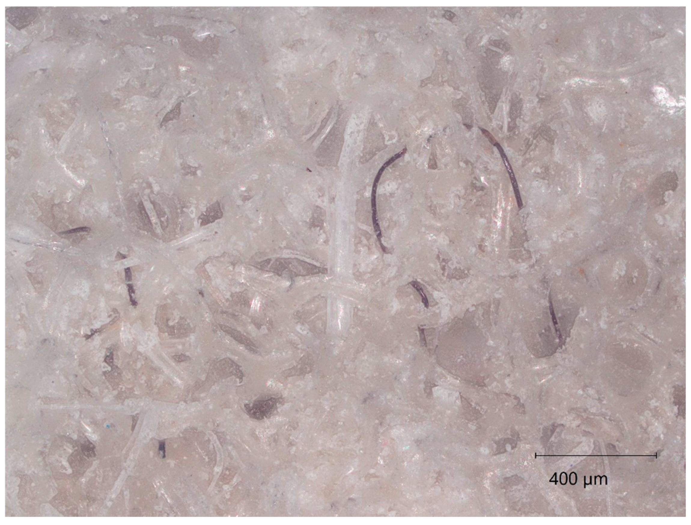 Materials 18 00647 g014