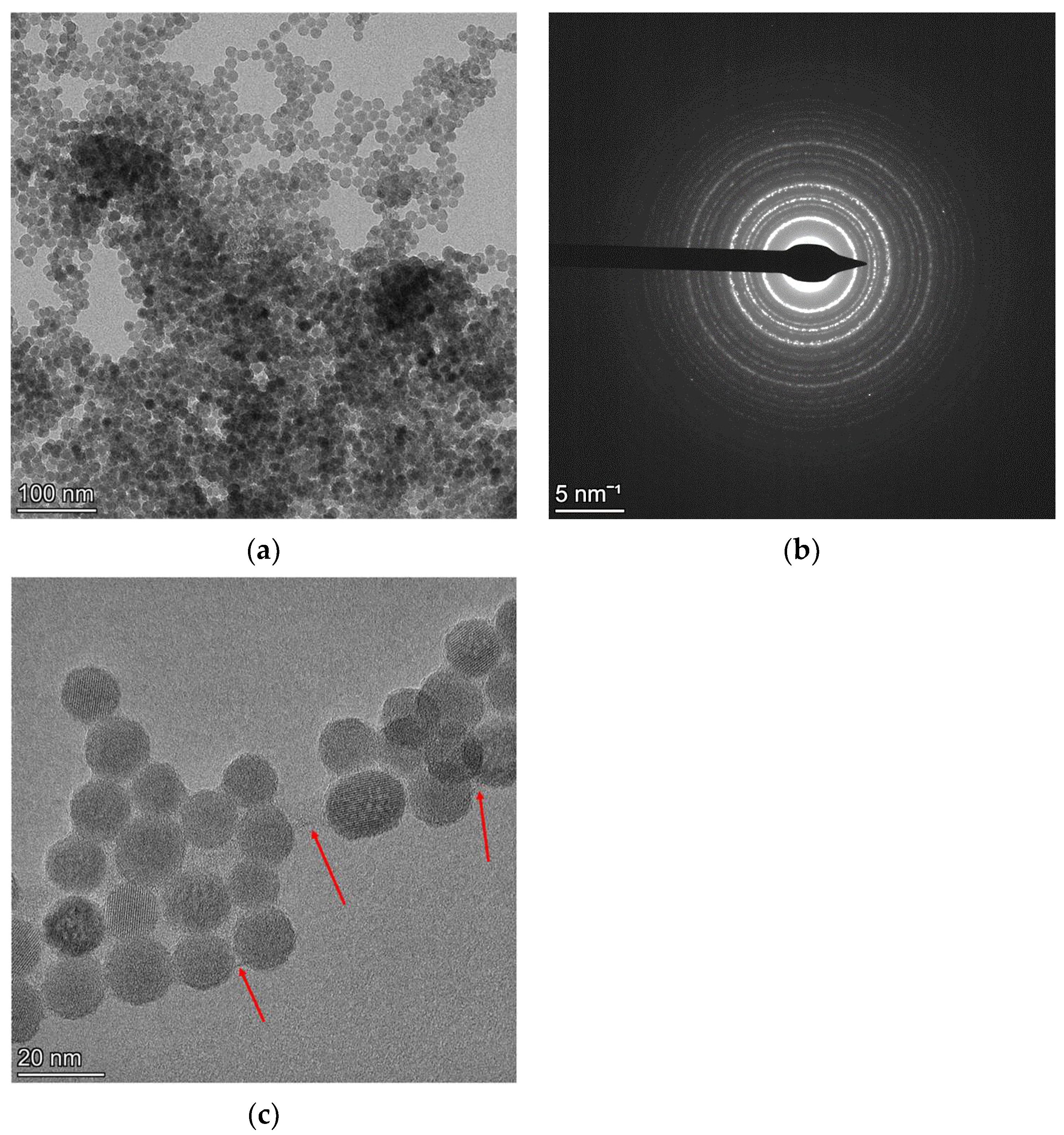 Materials 18 00650 g009 Materials 18 00650 g009