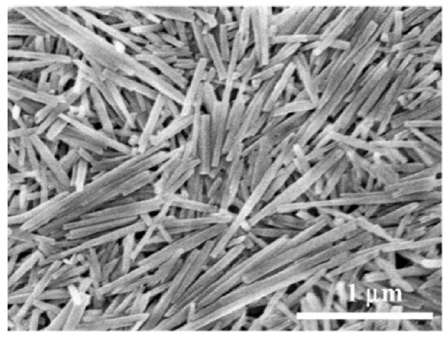 Materials 18 00654 g006