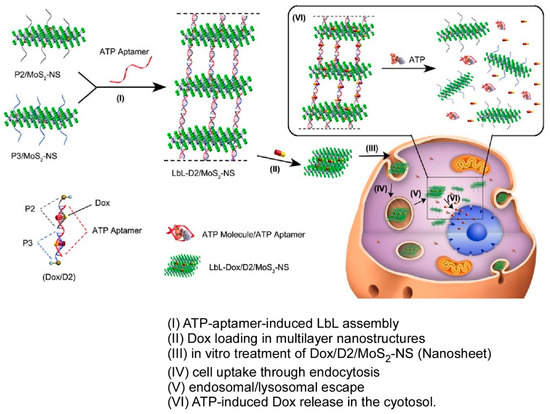 Layer-by-Layer Nanoarchitectonics: A Method for Everything in Layered ...