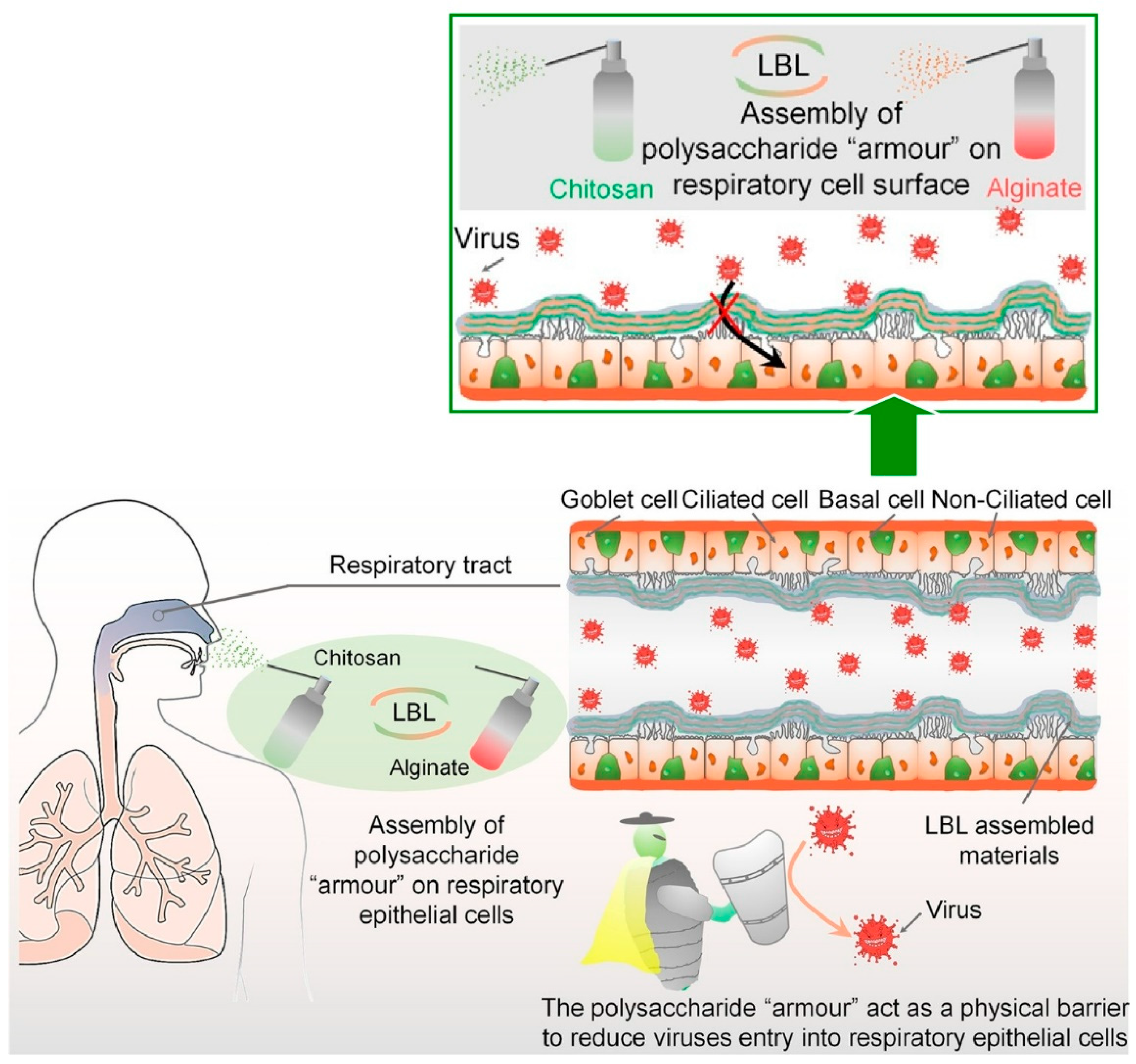 Materials 18 00654 g017