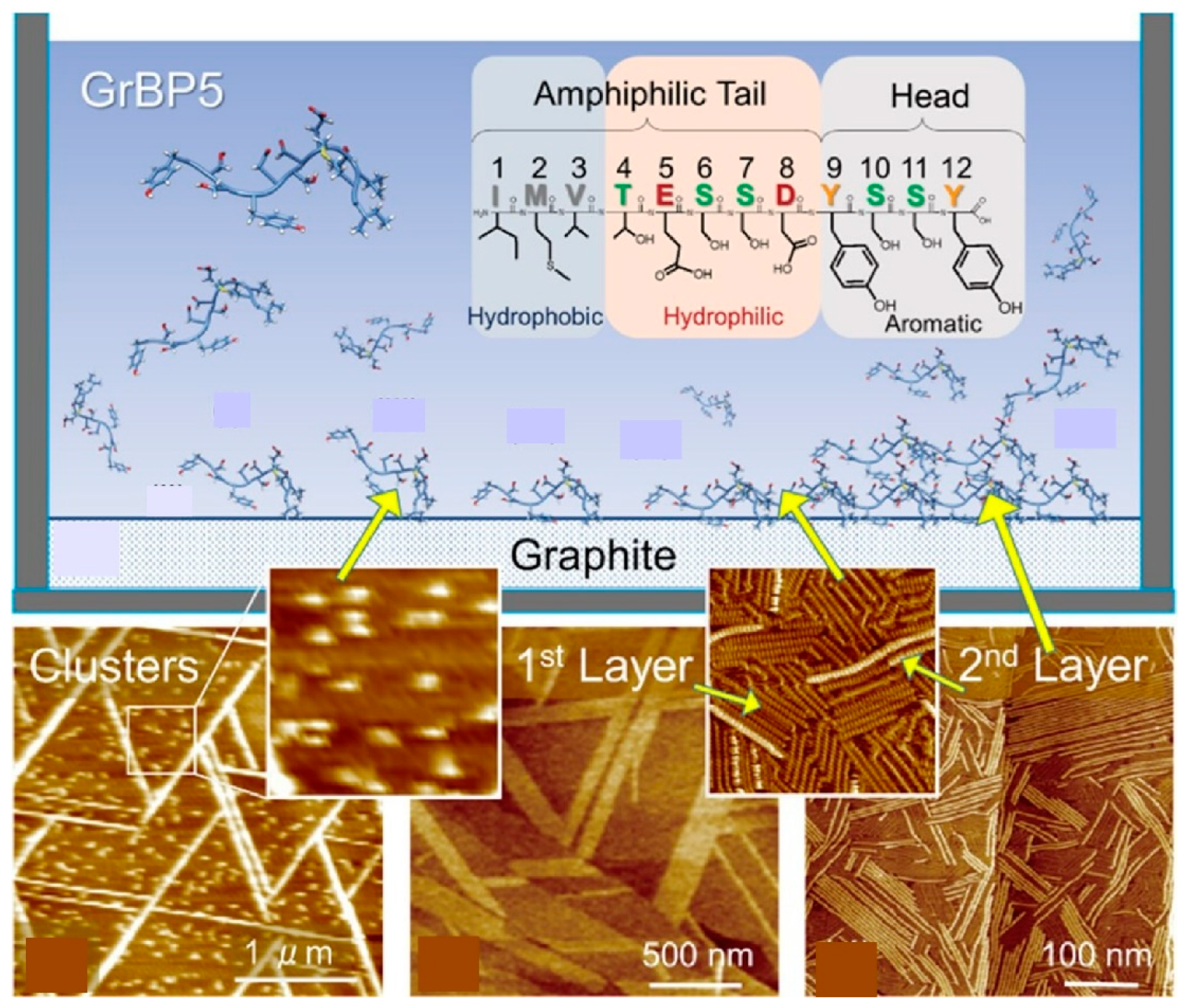 Materials 18 00654 g019