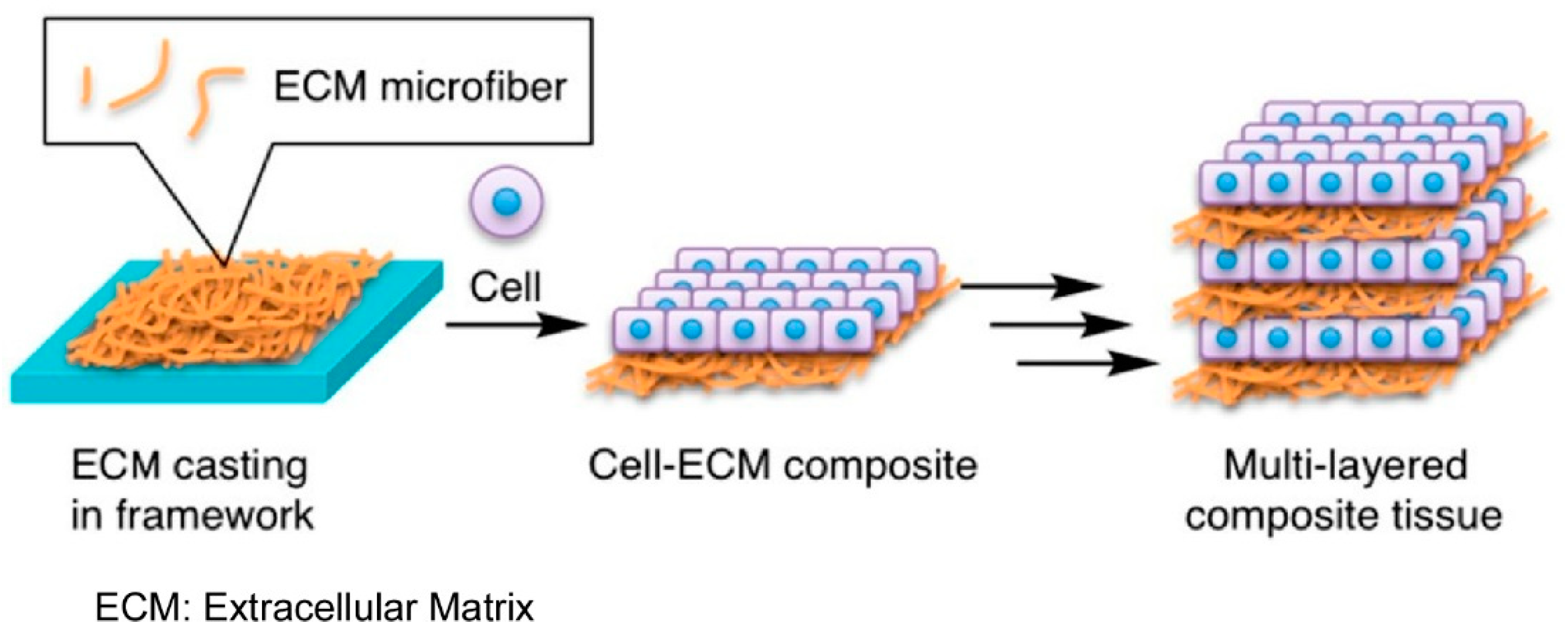 Materials 18 00654 g023