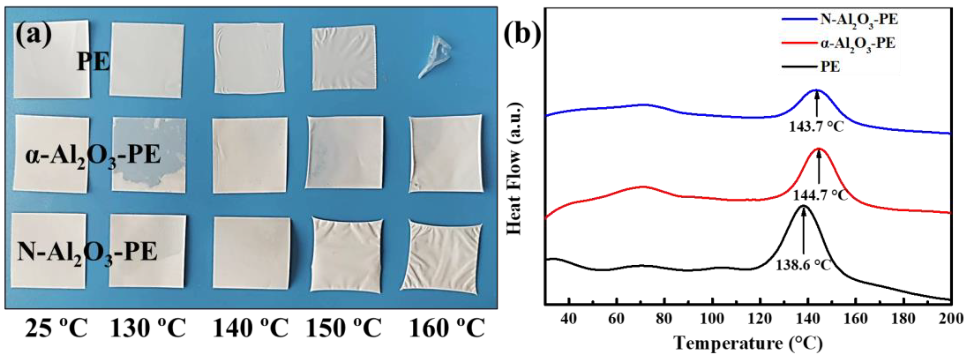 Materials 18 00660 g005