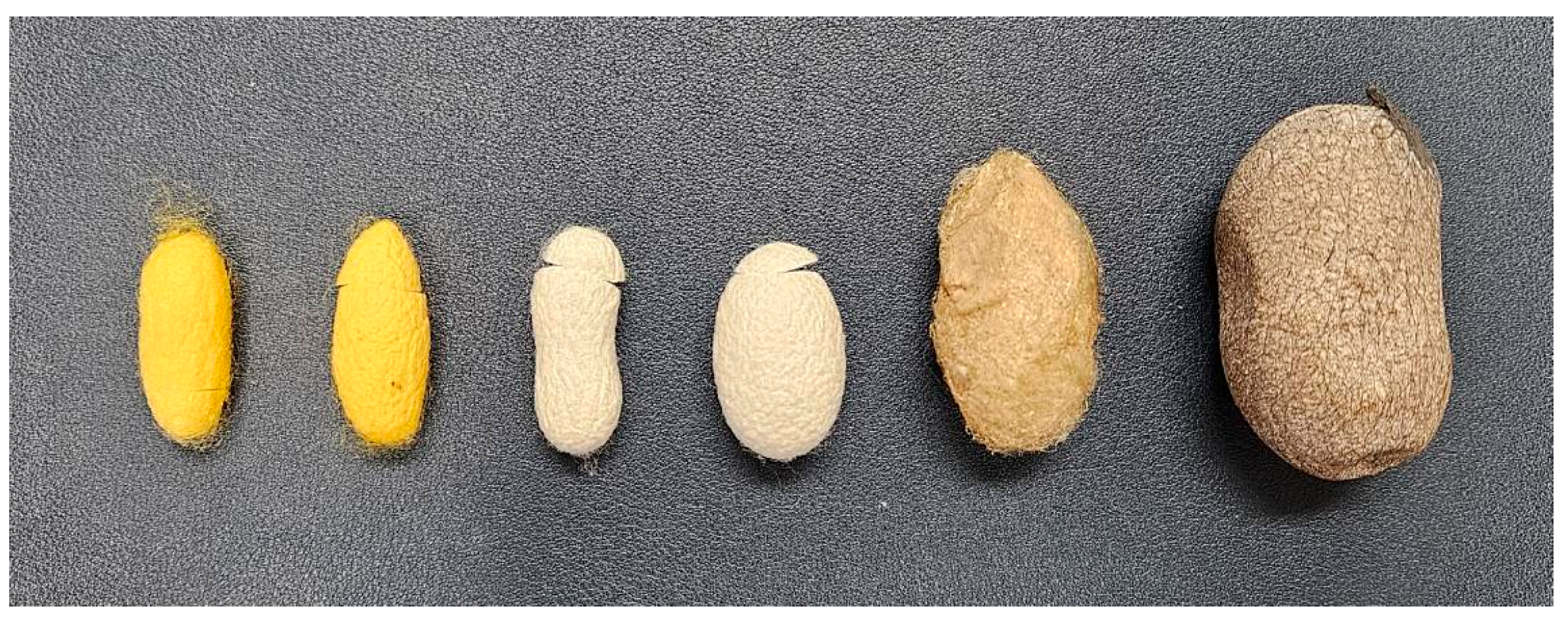 Materials 18 00674 g001 Materials 18 00674 g001