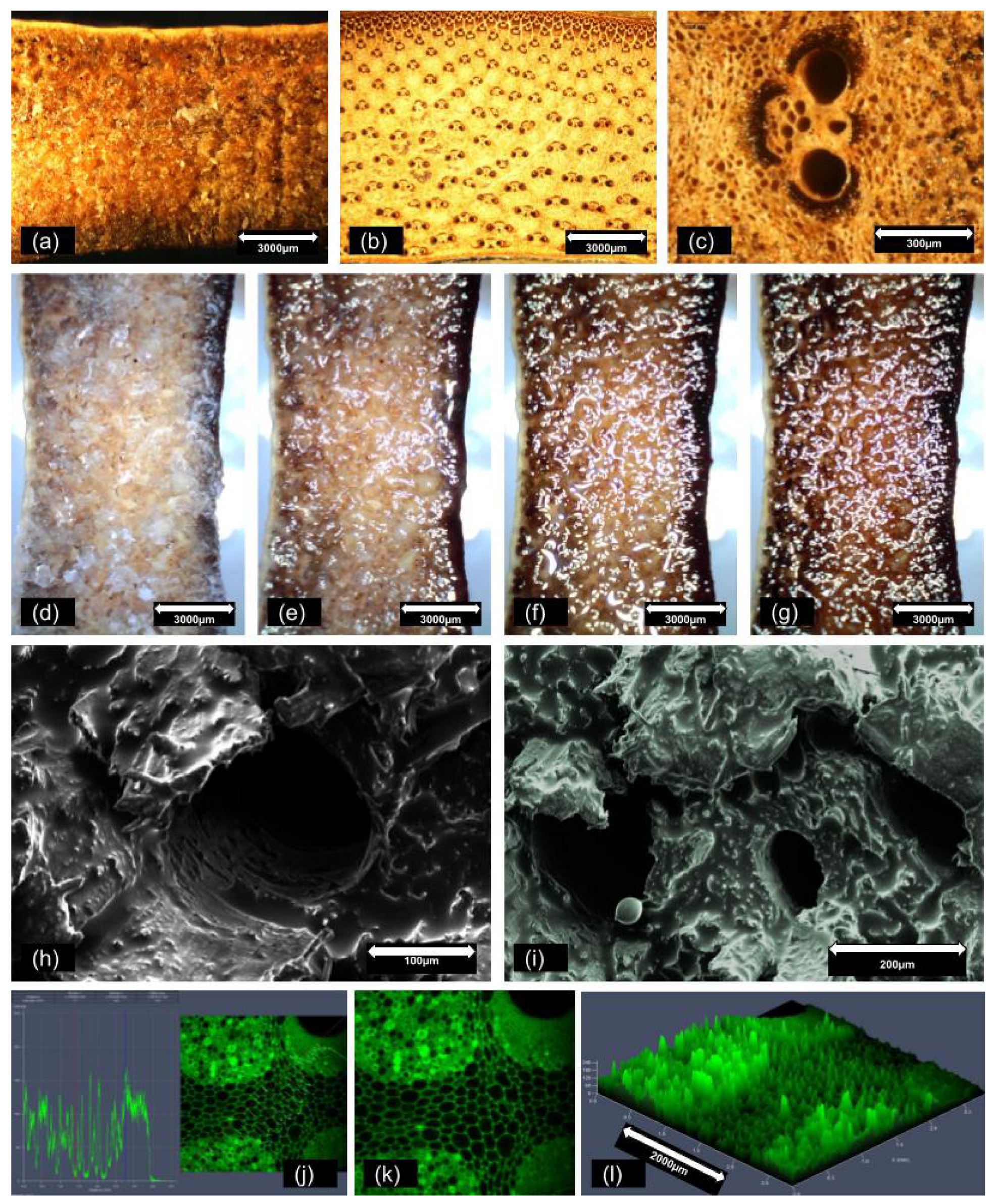Materials 18 00675 g005 Materials 18 00675 g005